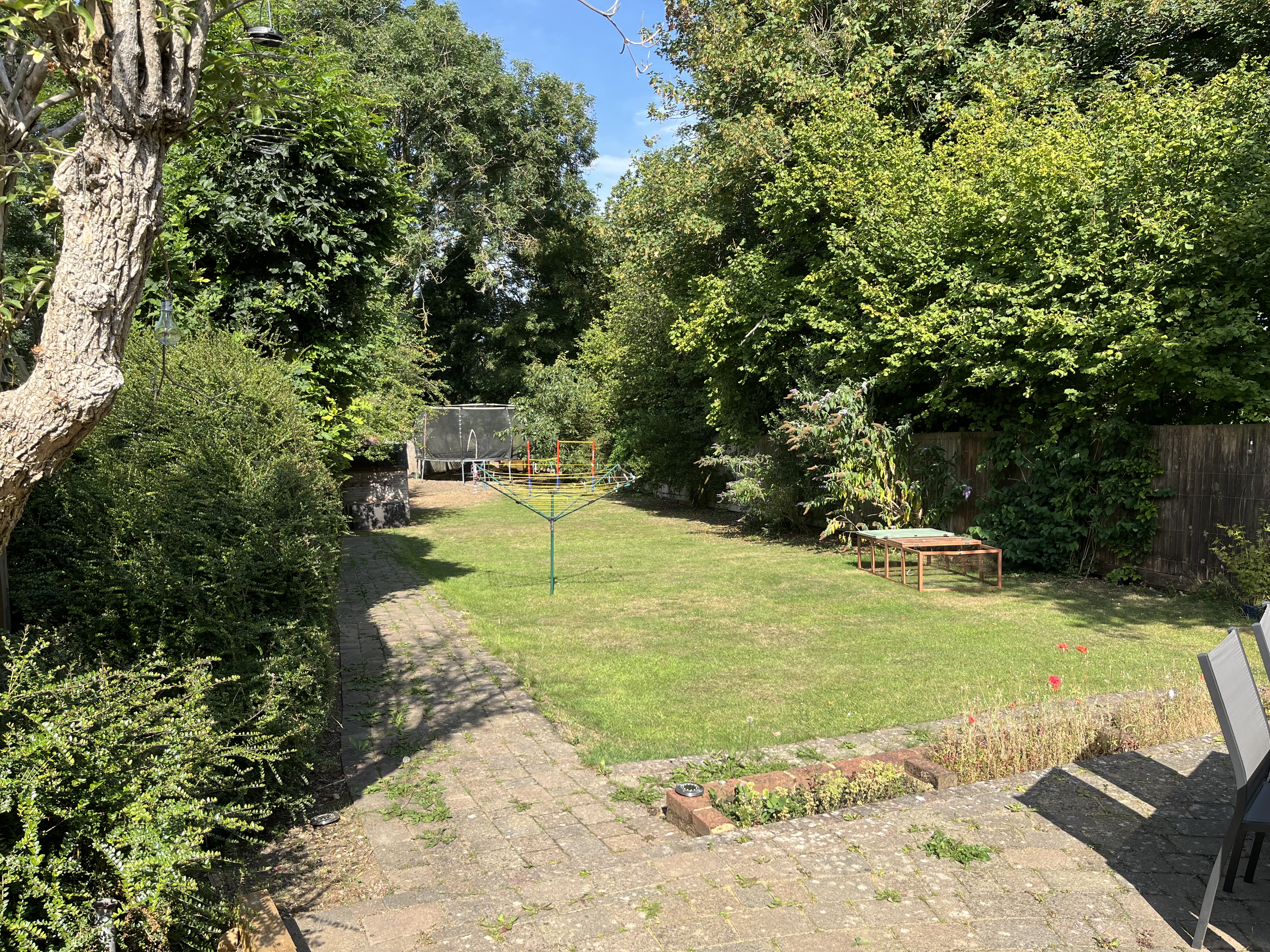 image-19