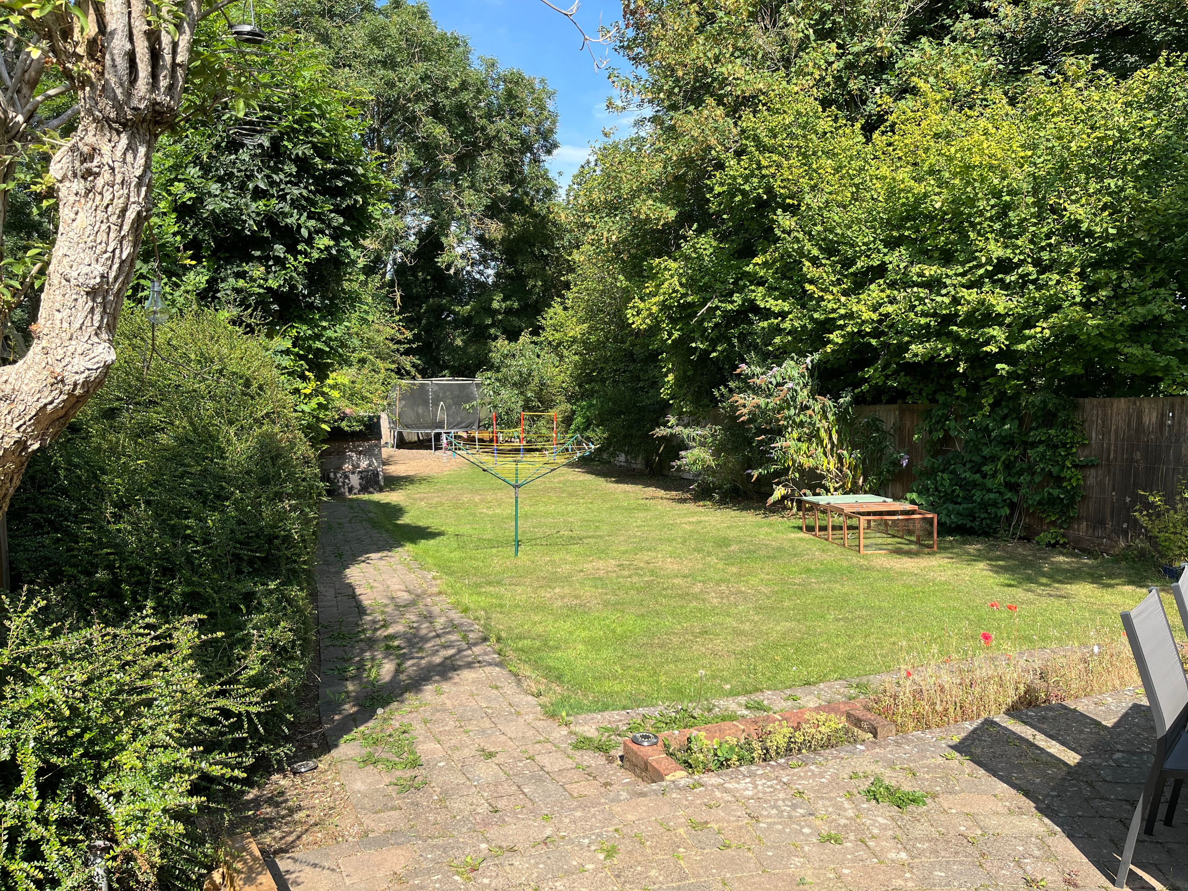 image-19