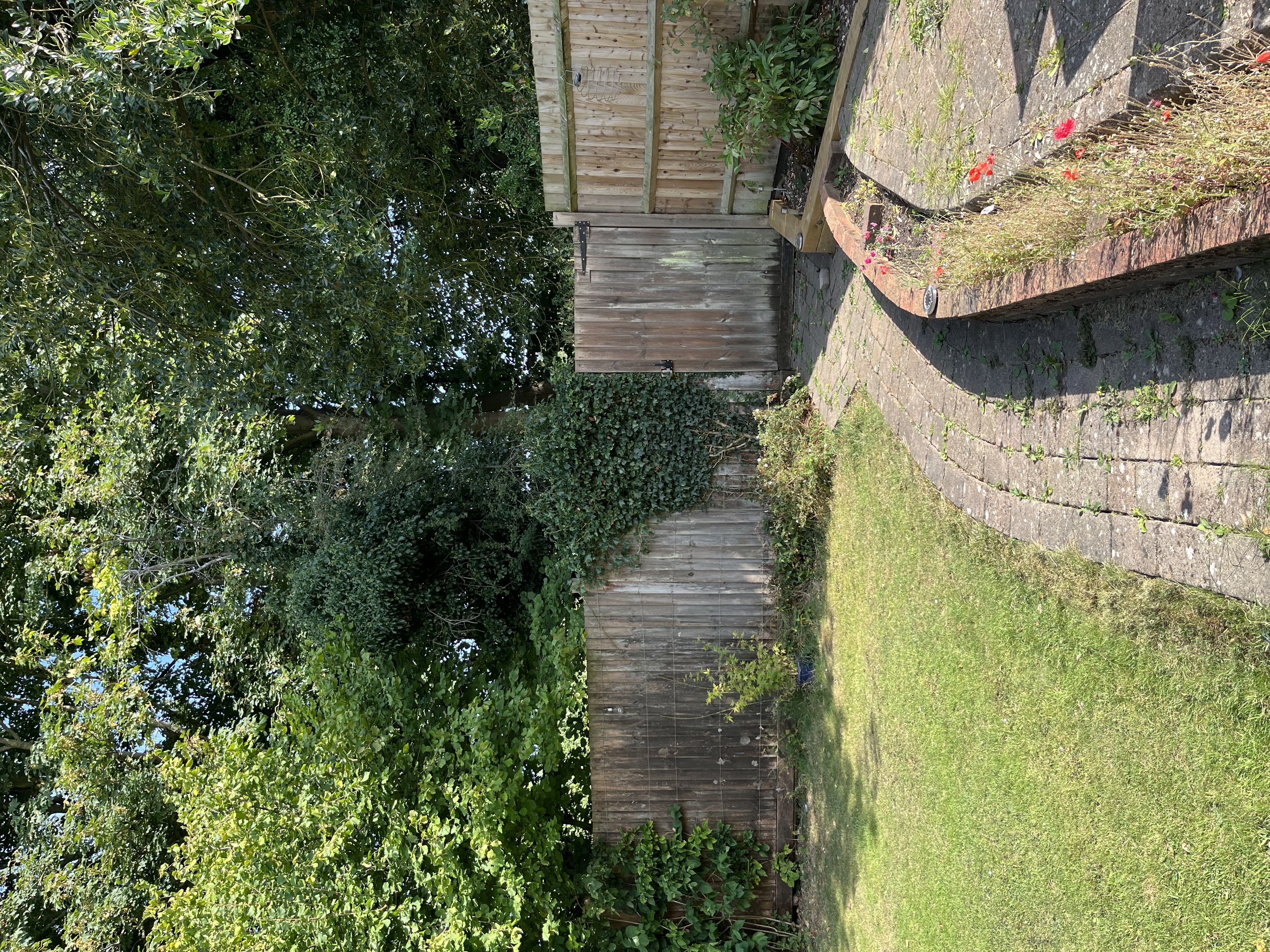 image-21