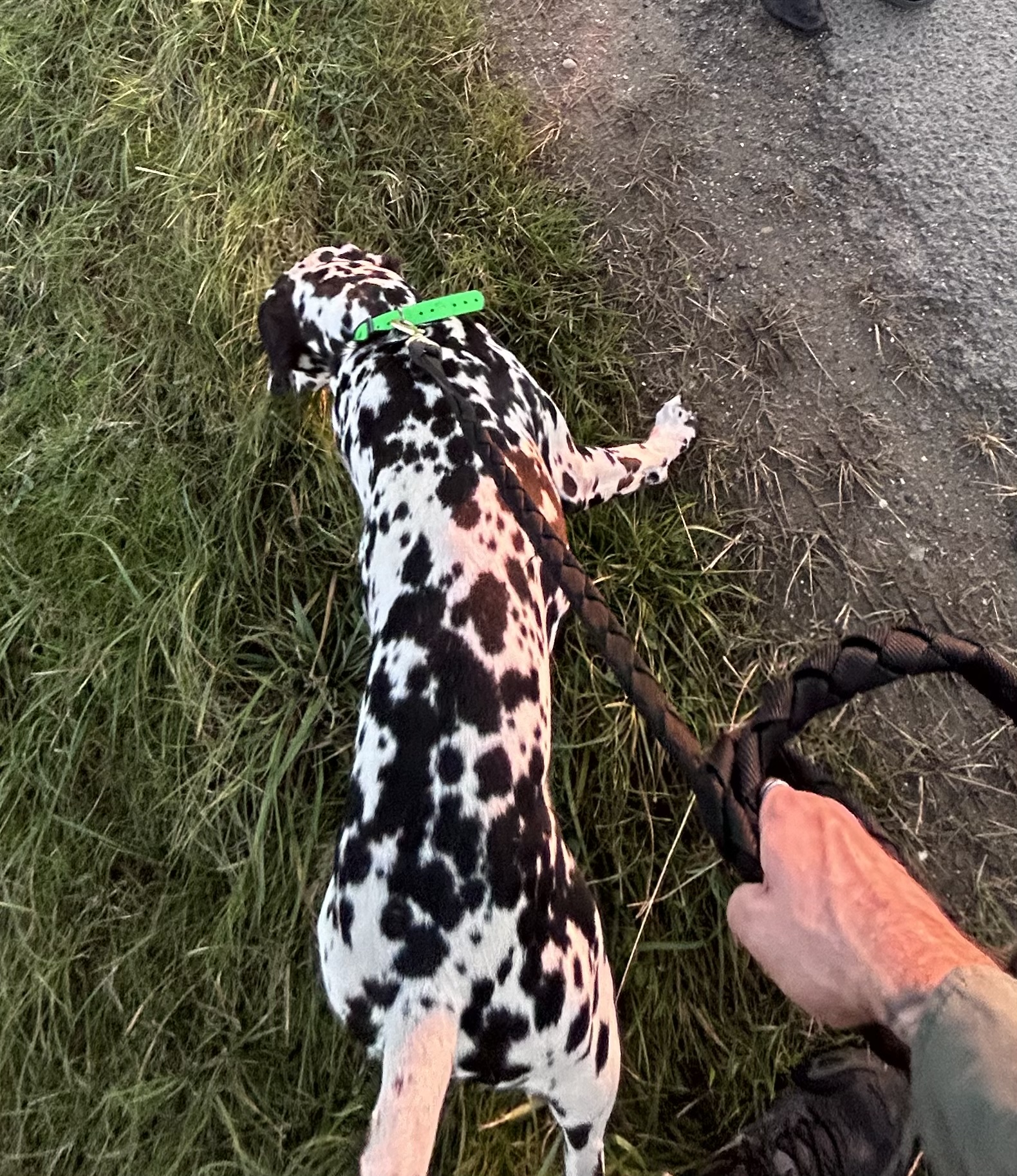 image-6