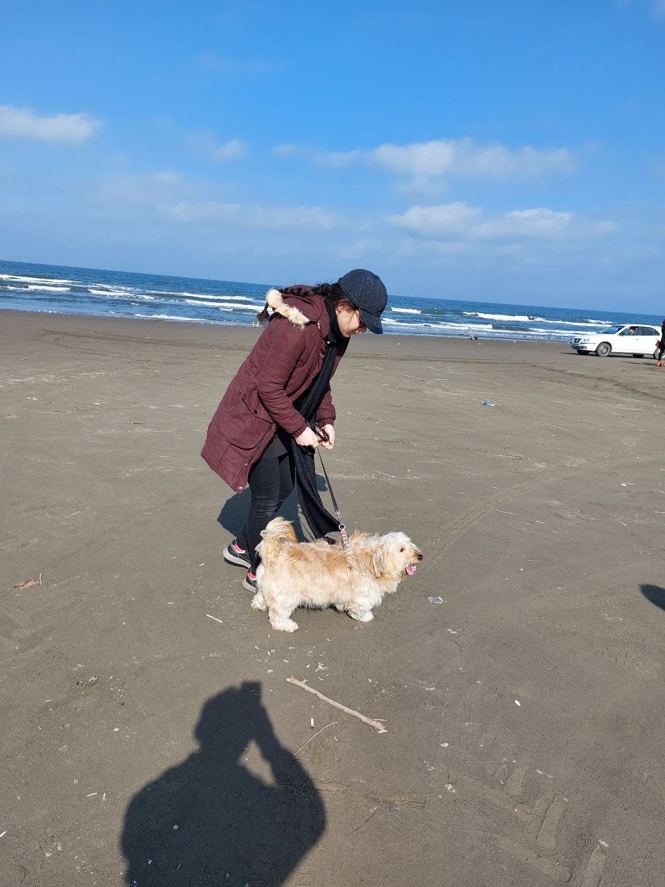 image-6