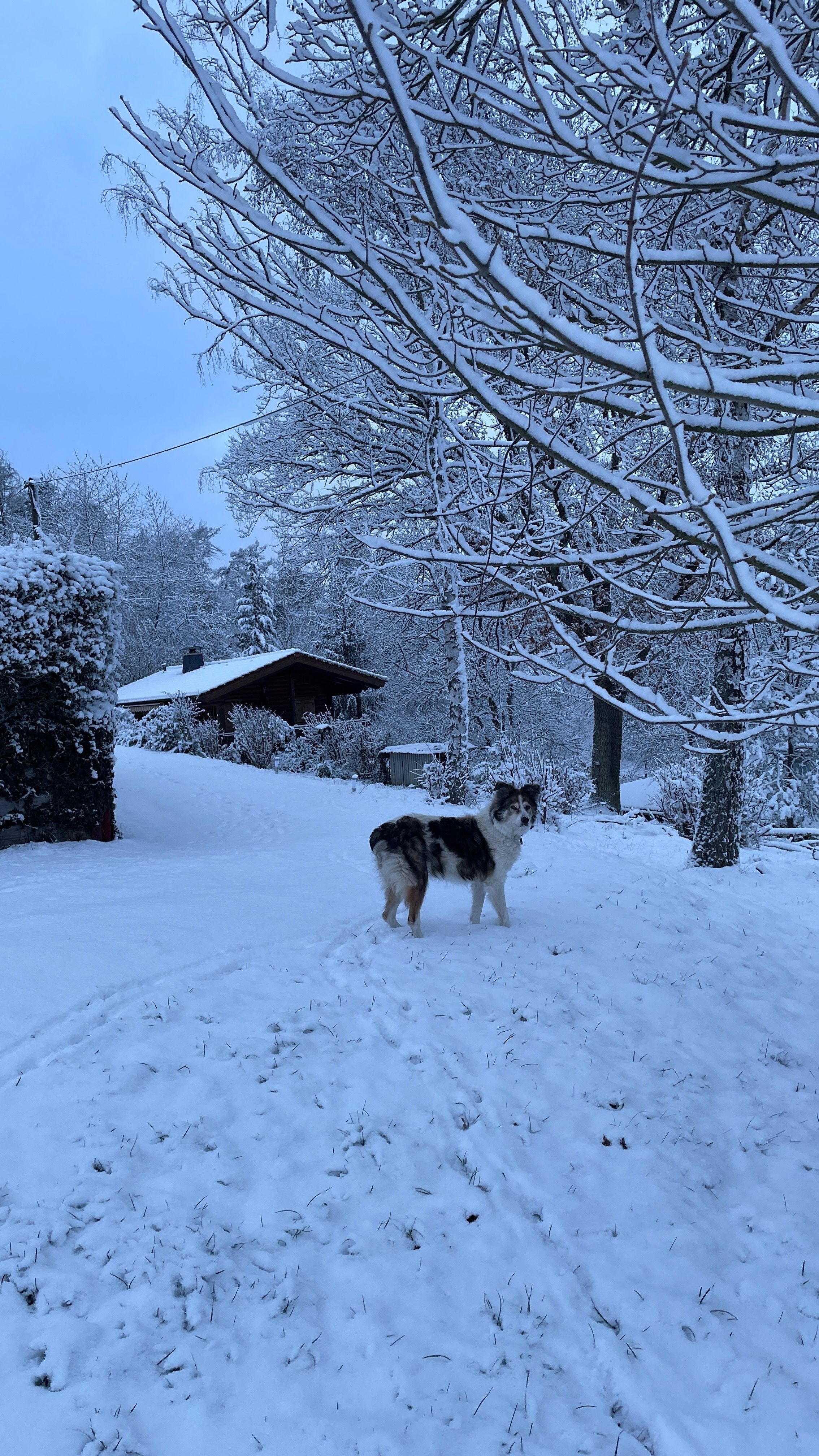 image-10