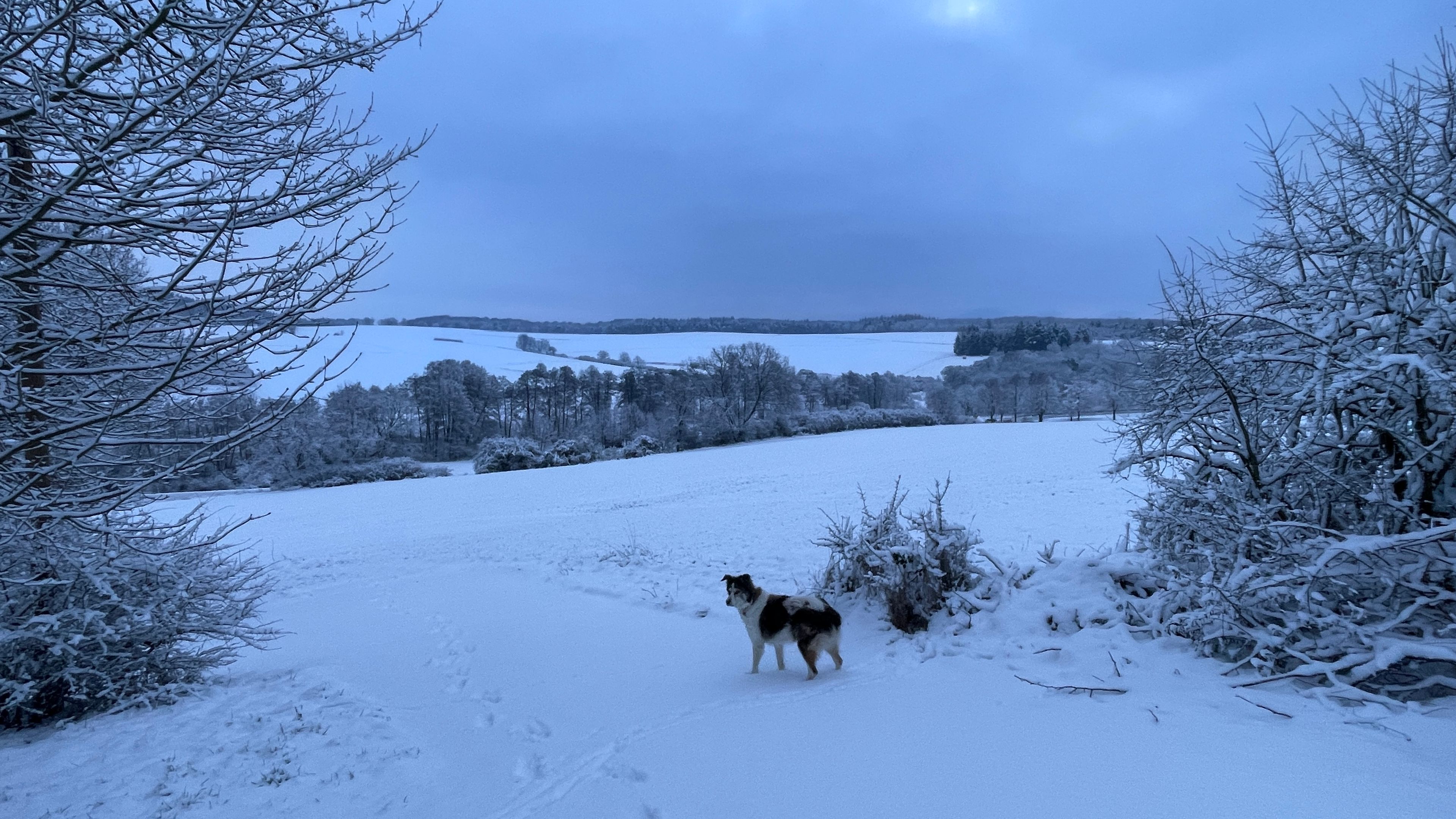 image-9