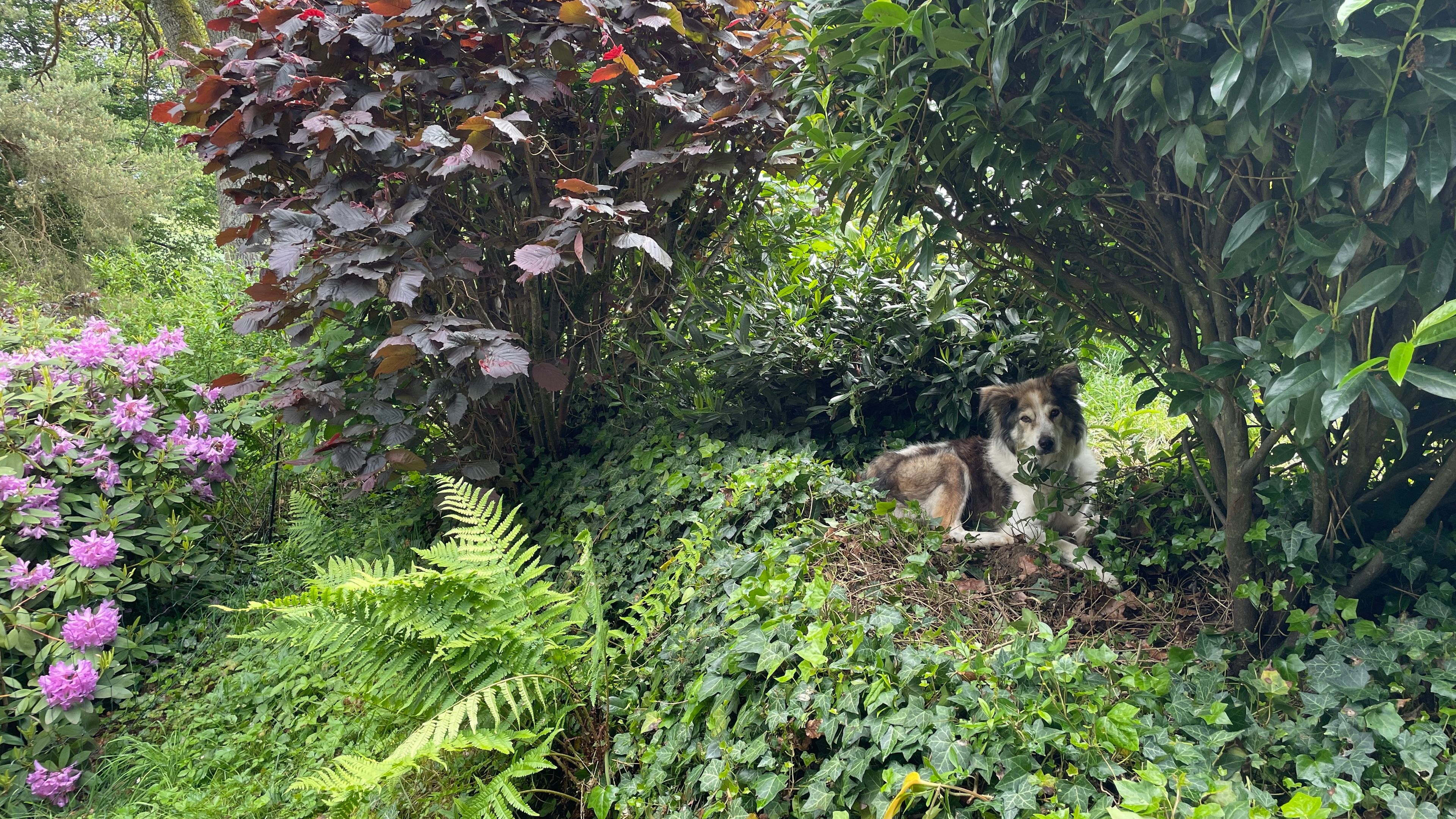 image-11