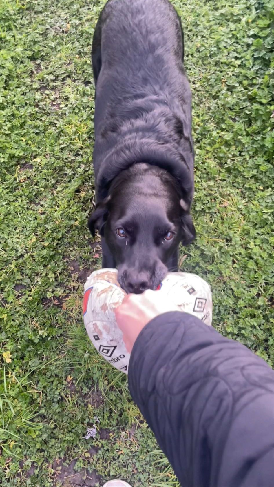 image-8