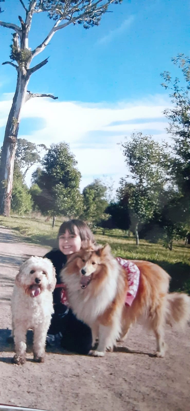 image-7