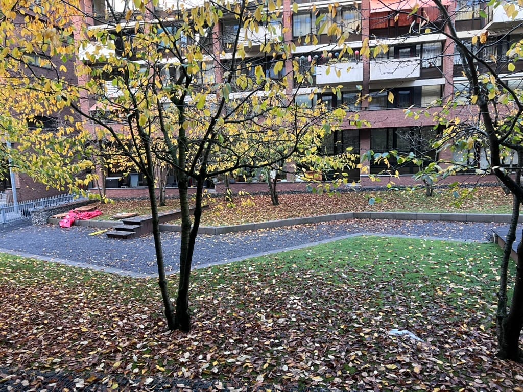 image-18