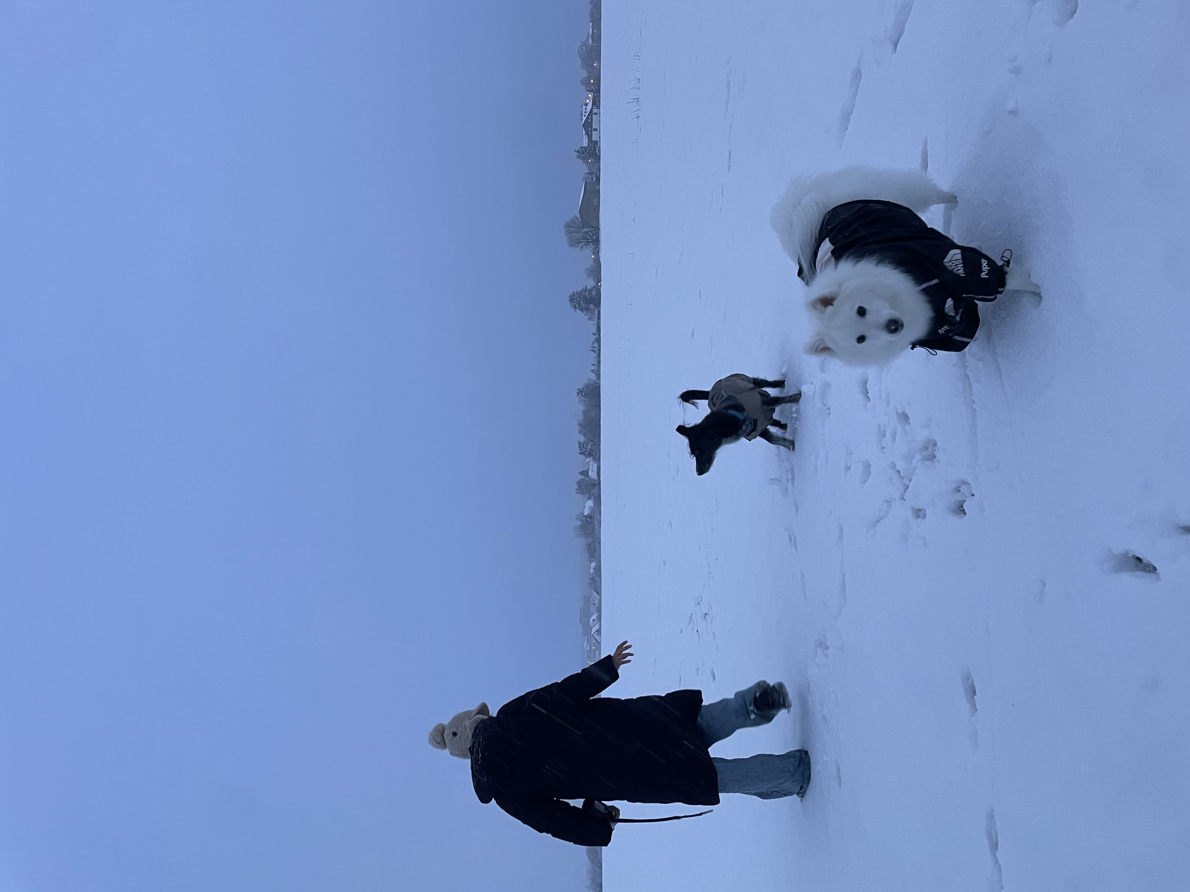 image-2
