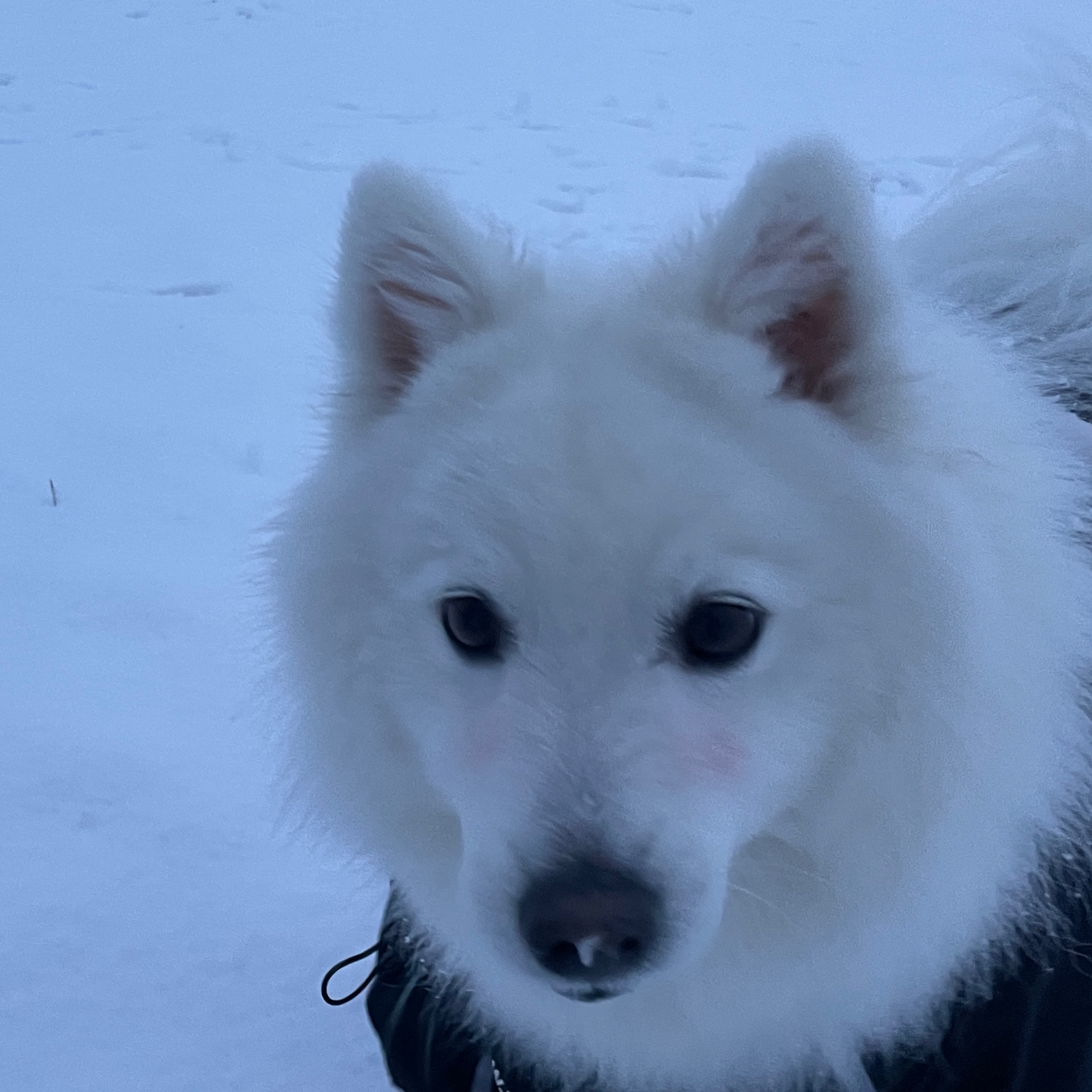 Zero