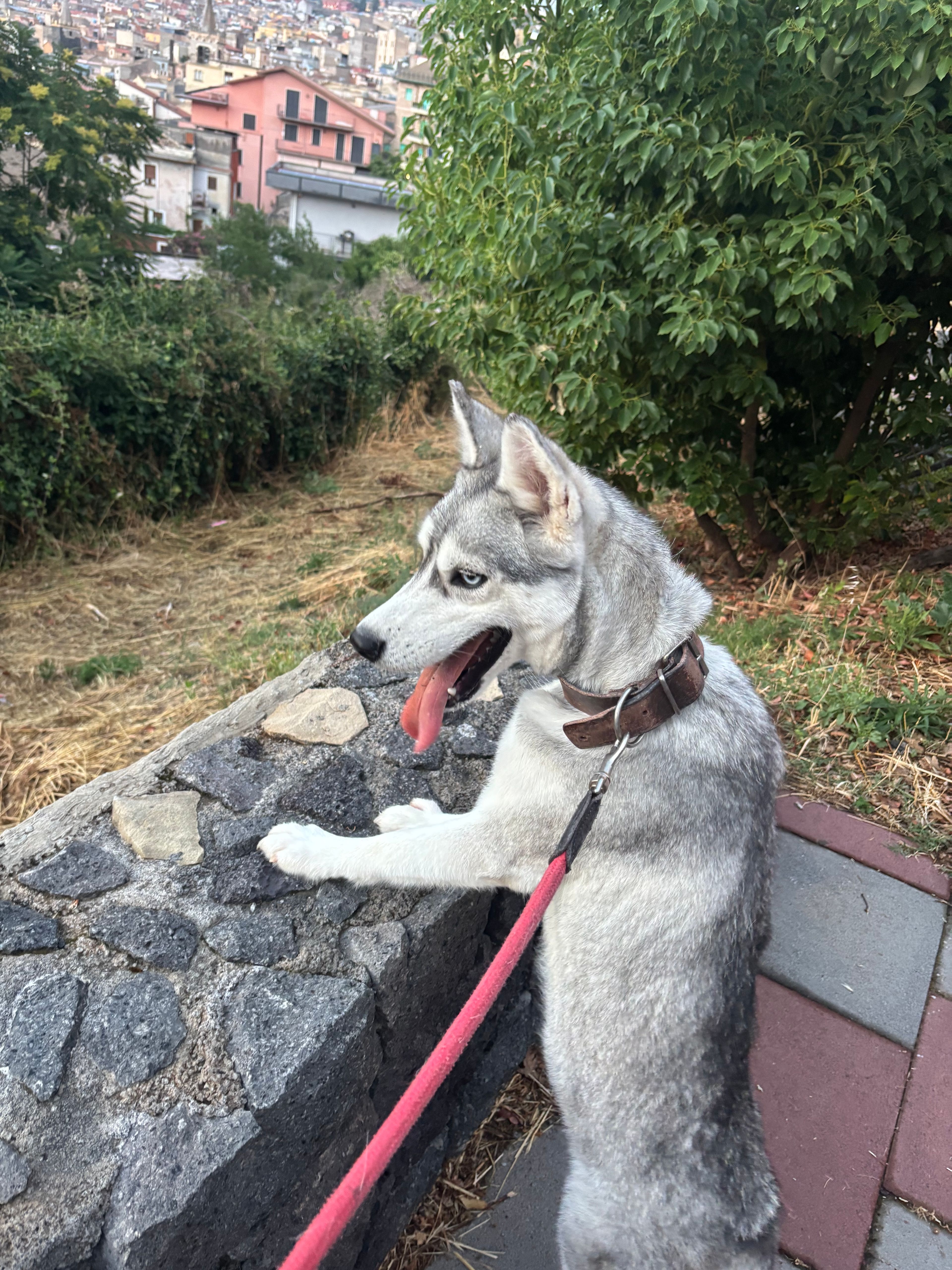 image-9