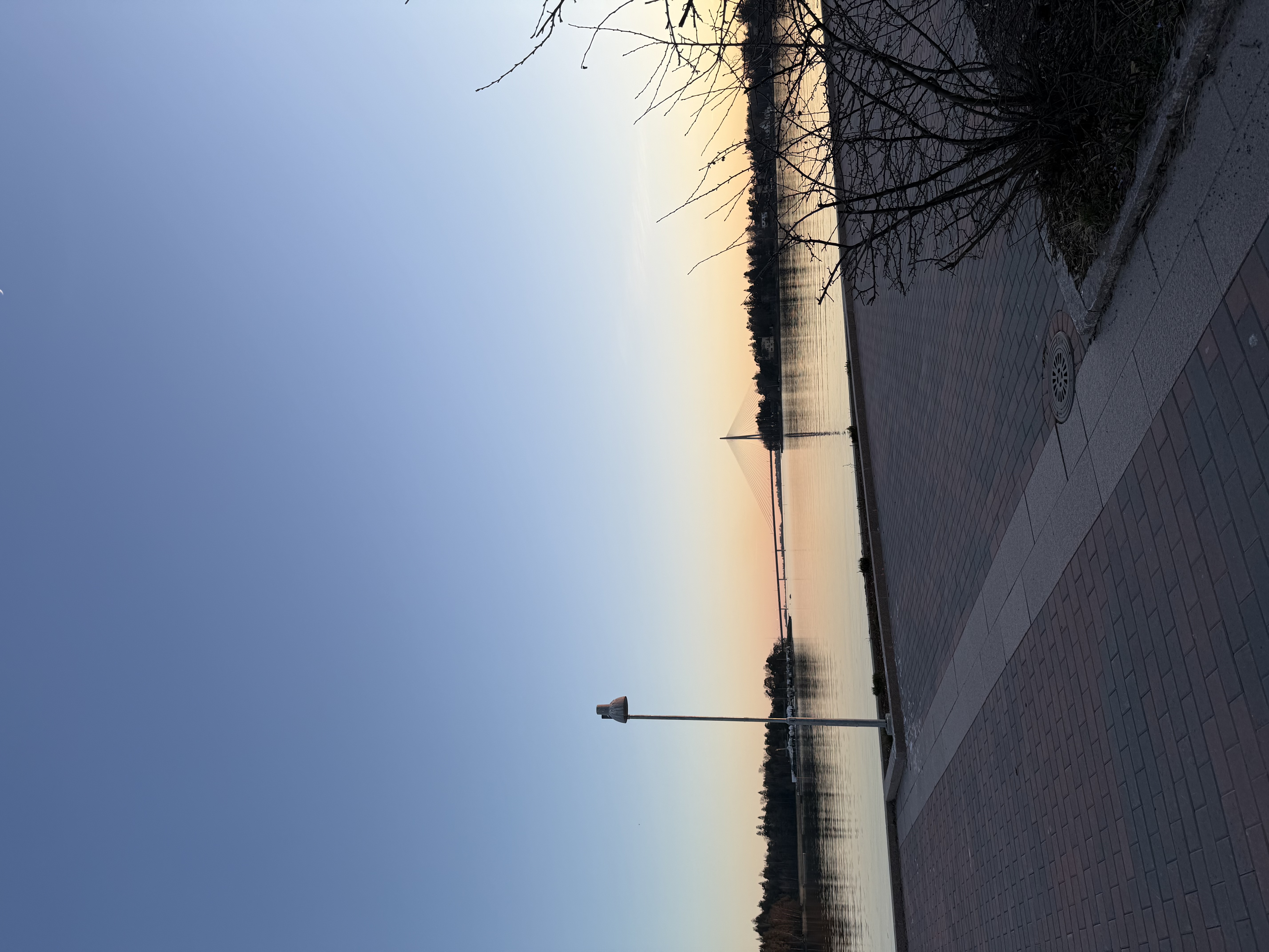image-20