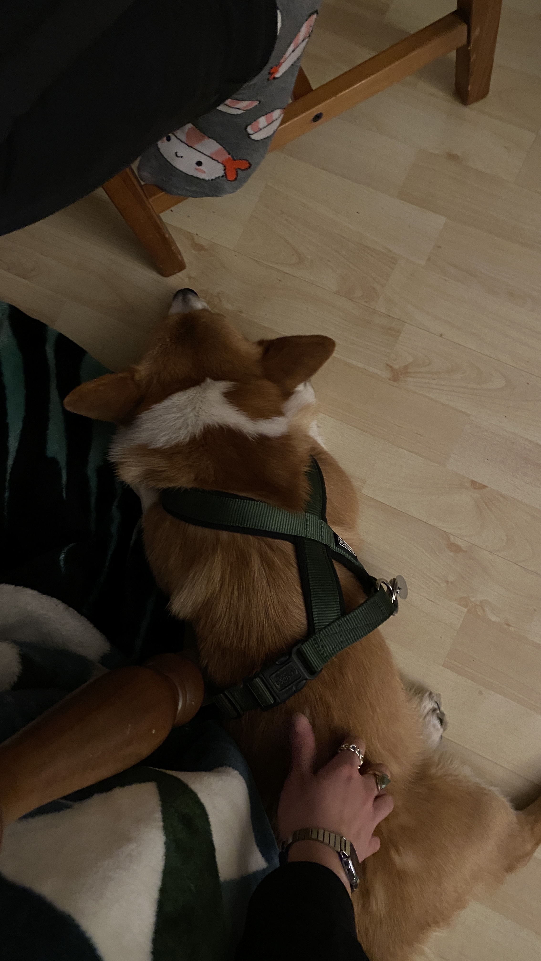 image-5