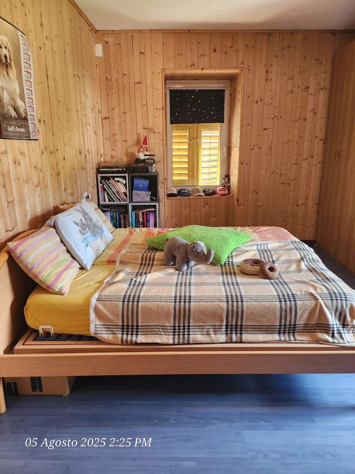 image-12