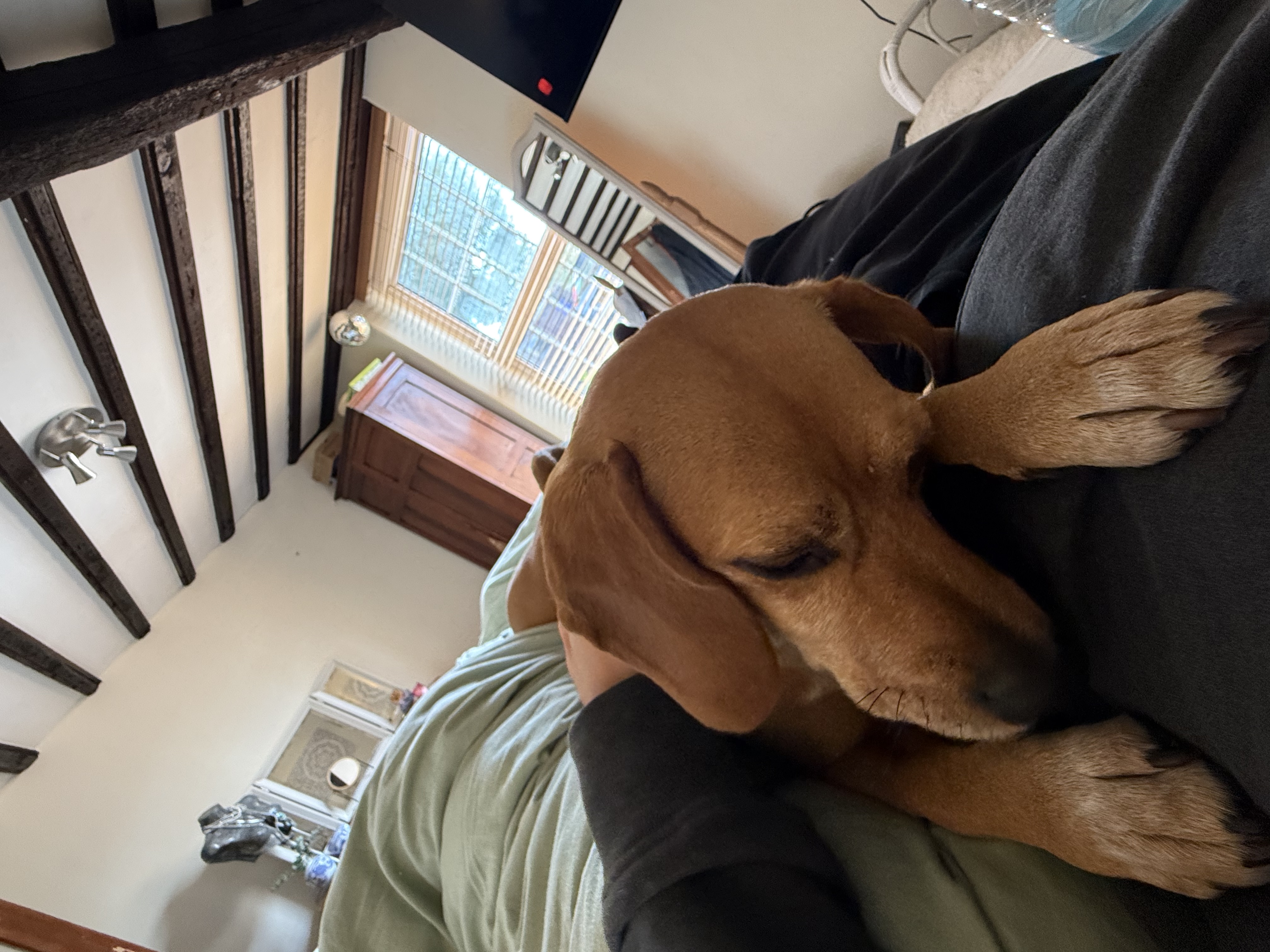 image-7