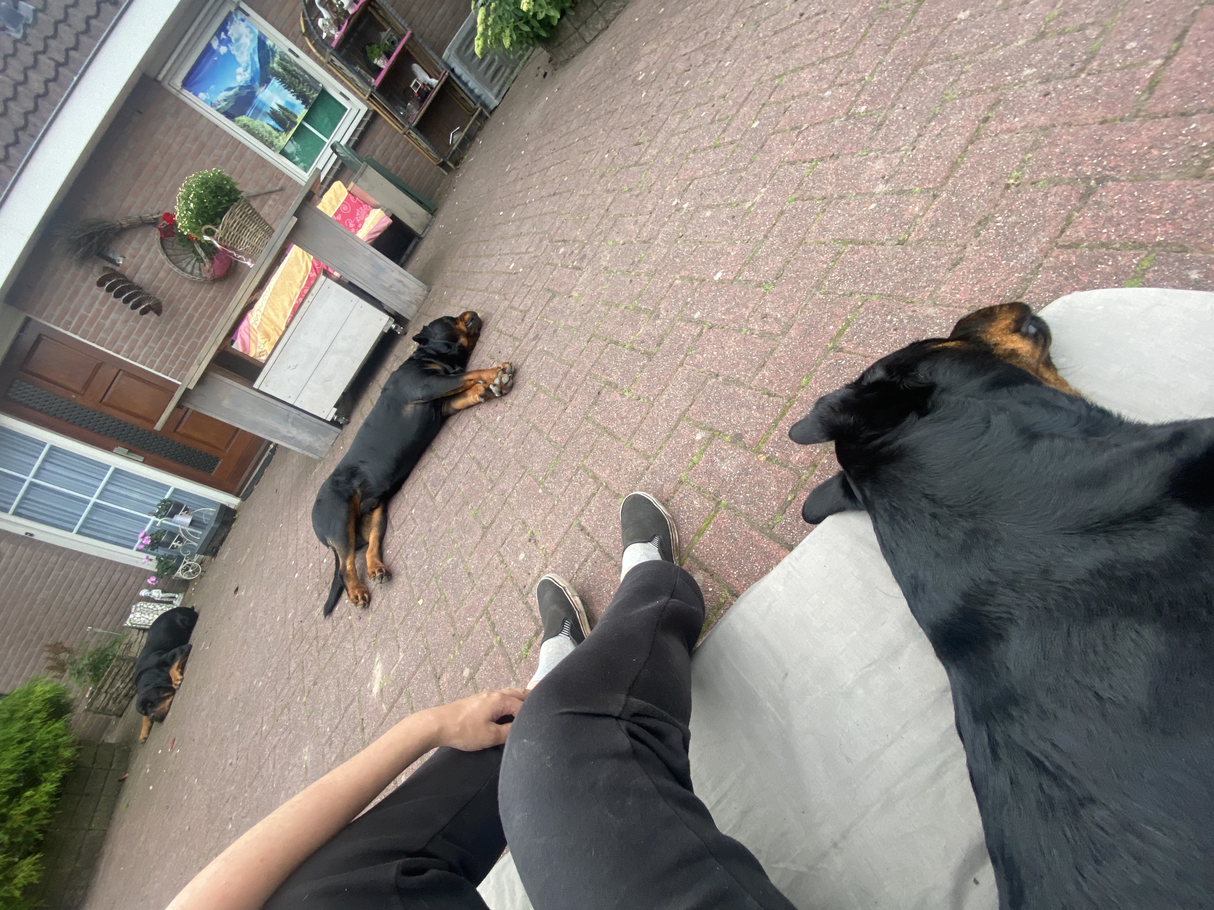 image-10