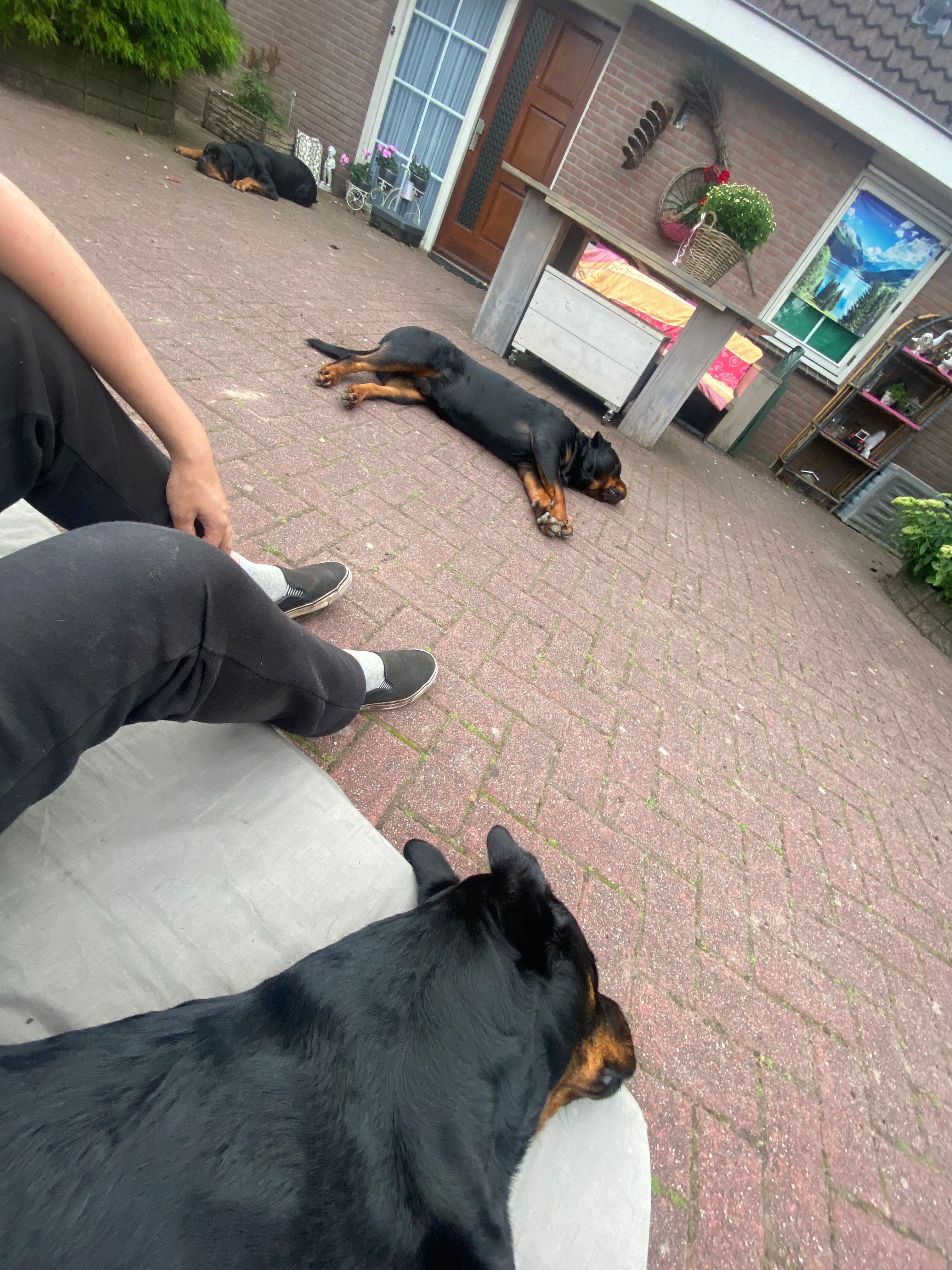 image-10