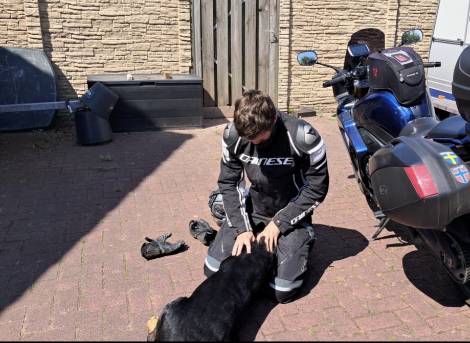 image-7