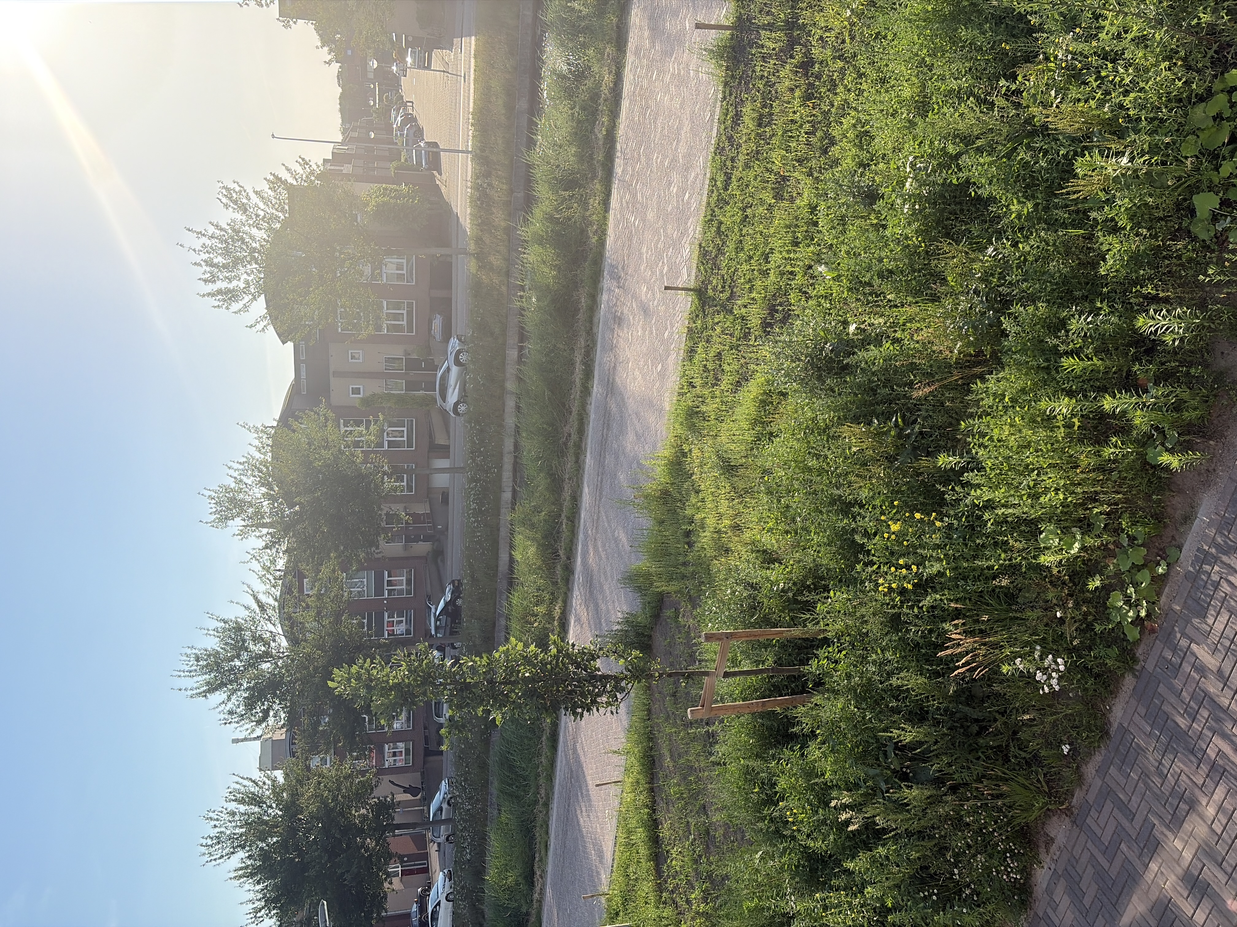 image-17