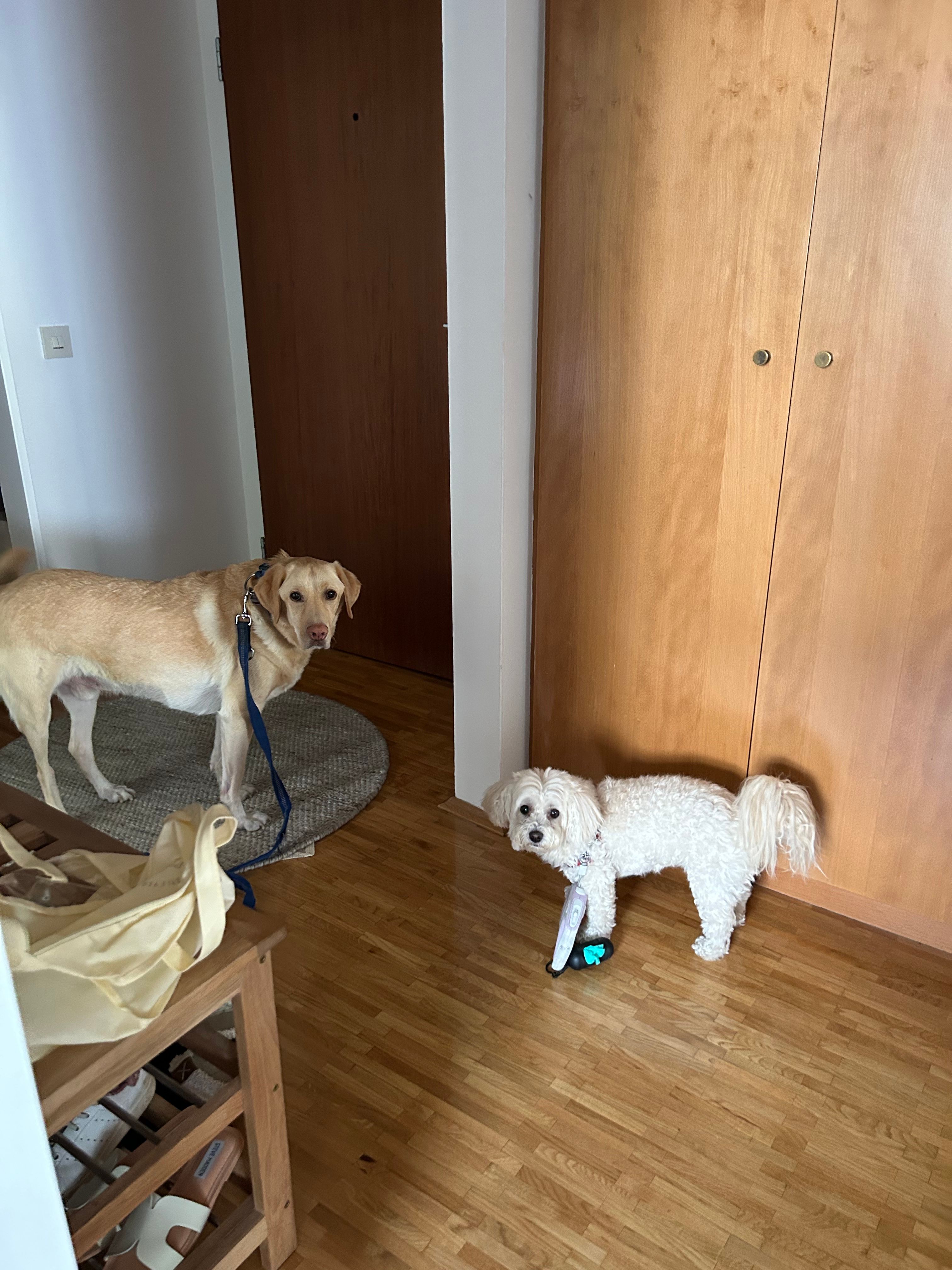 image-20