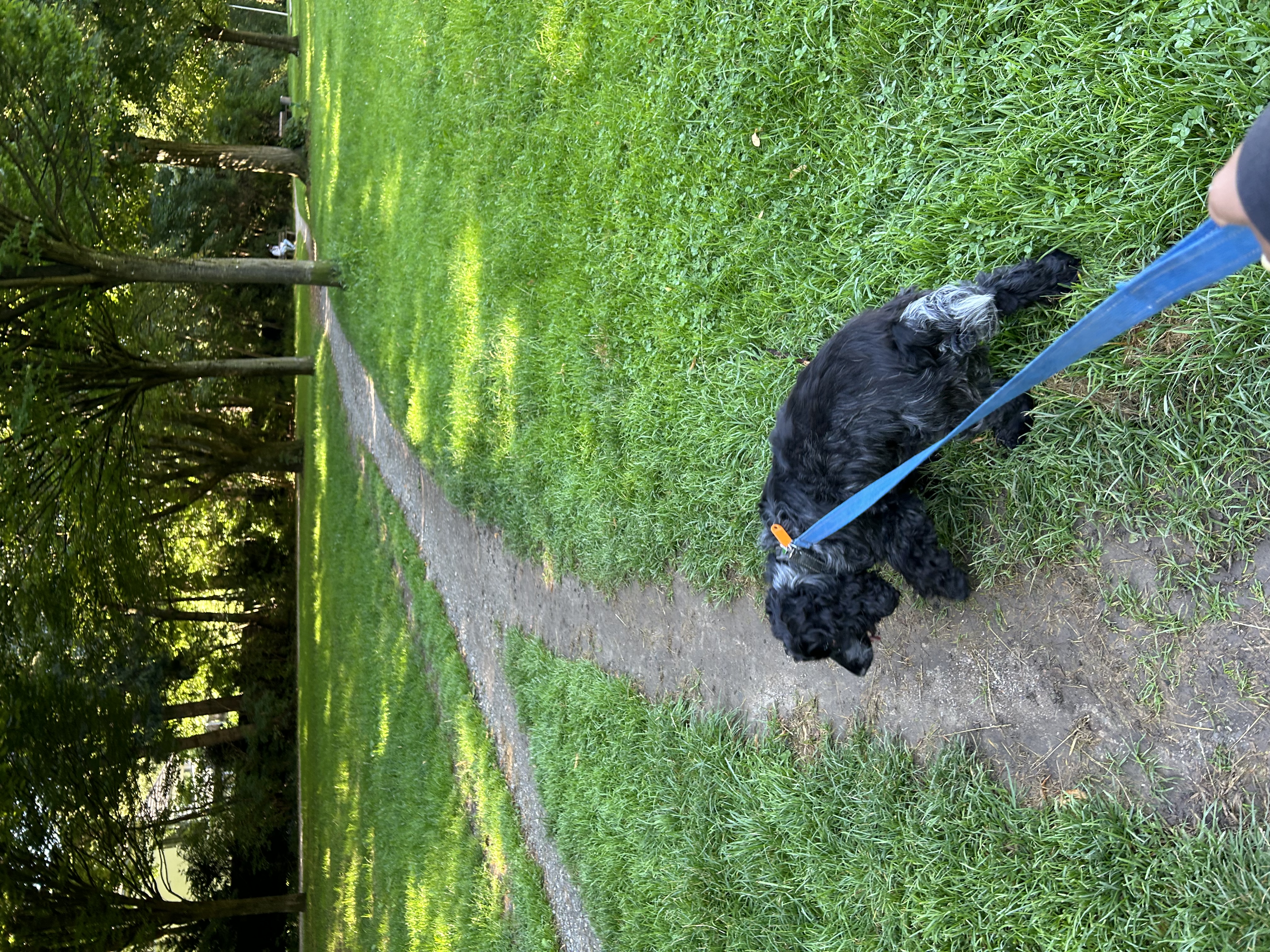 image-12