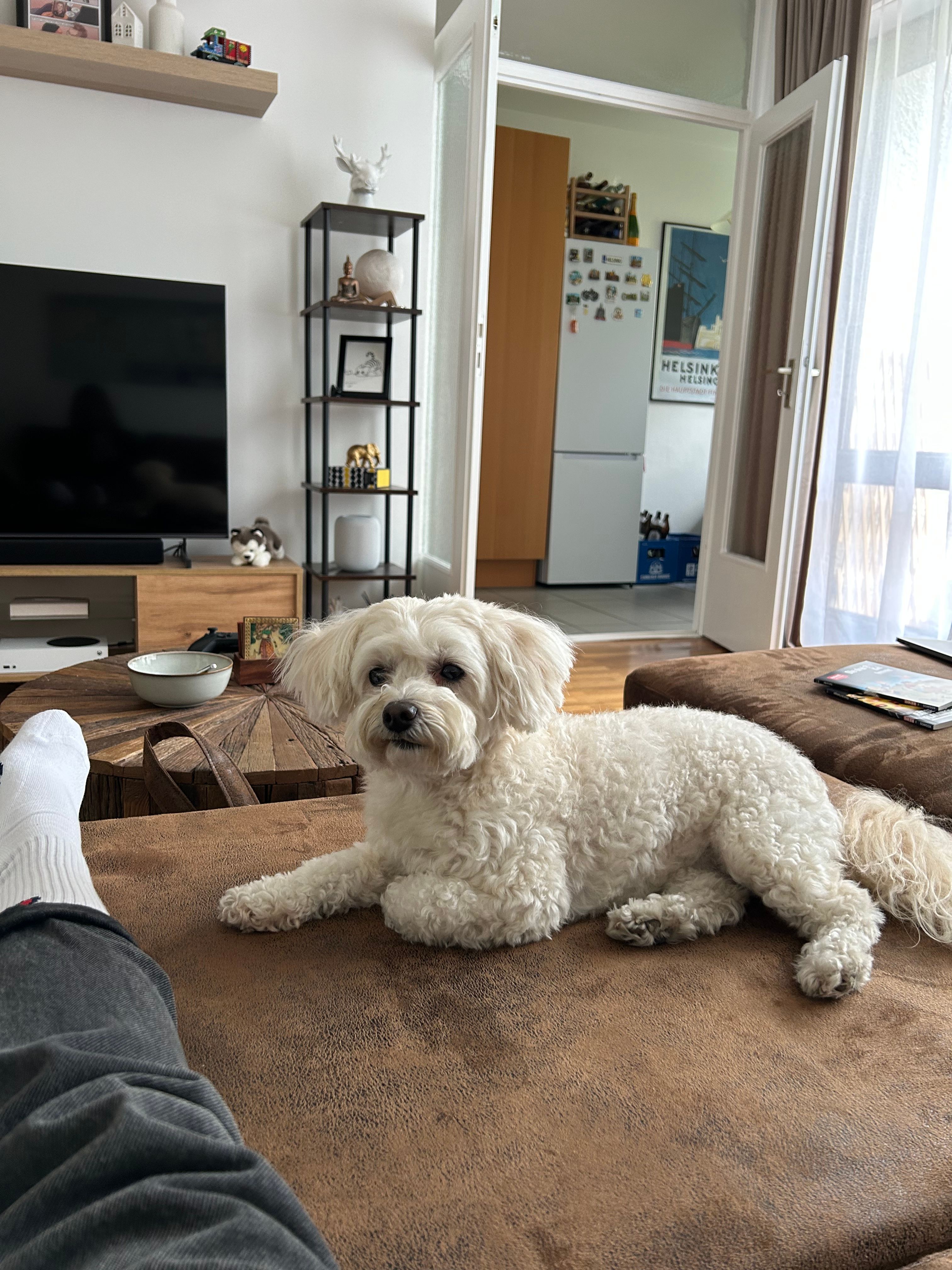 image-16