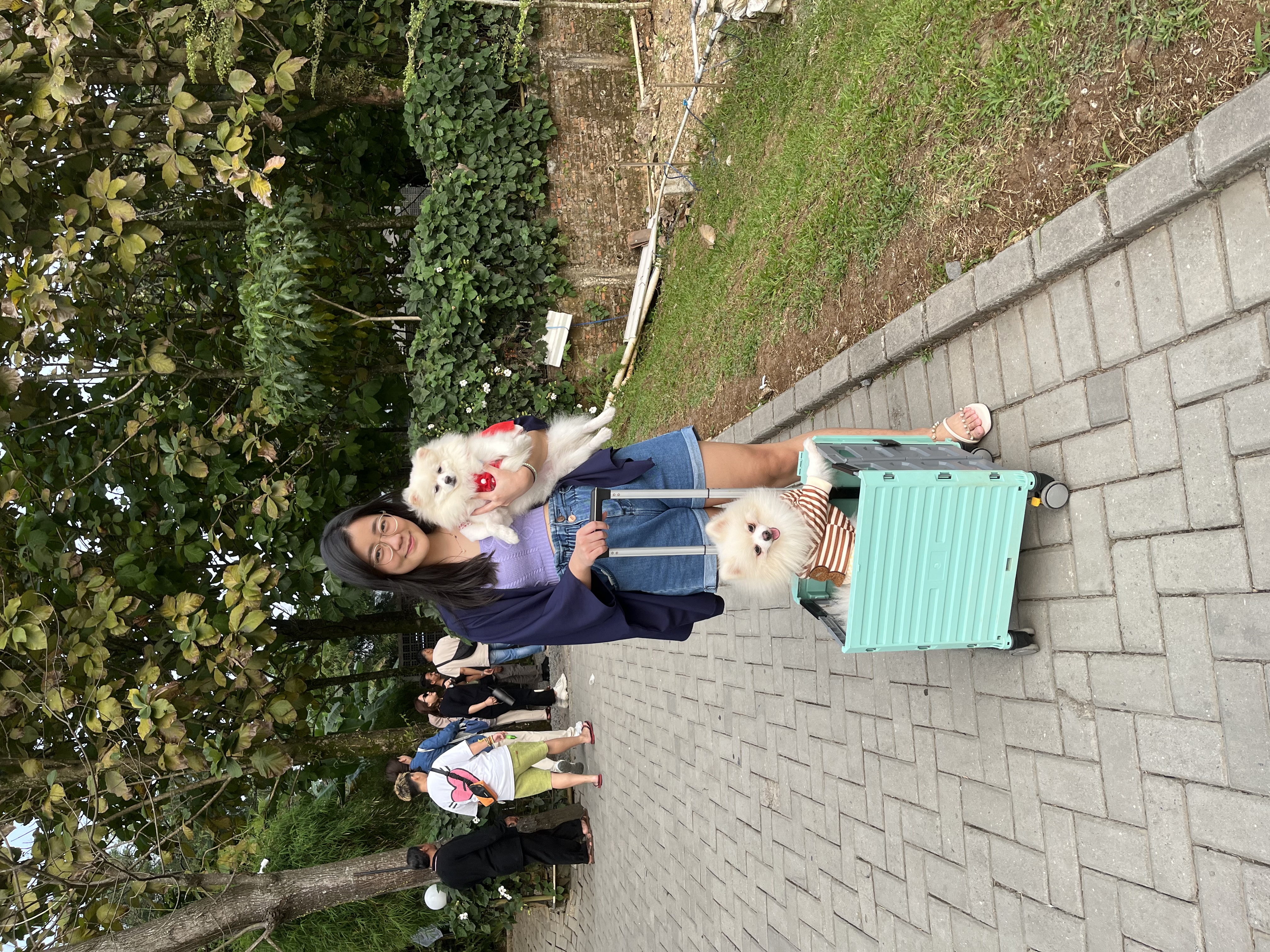 image-9