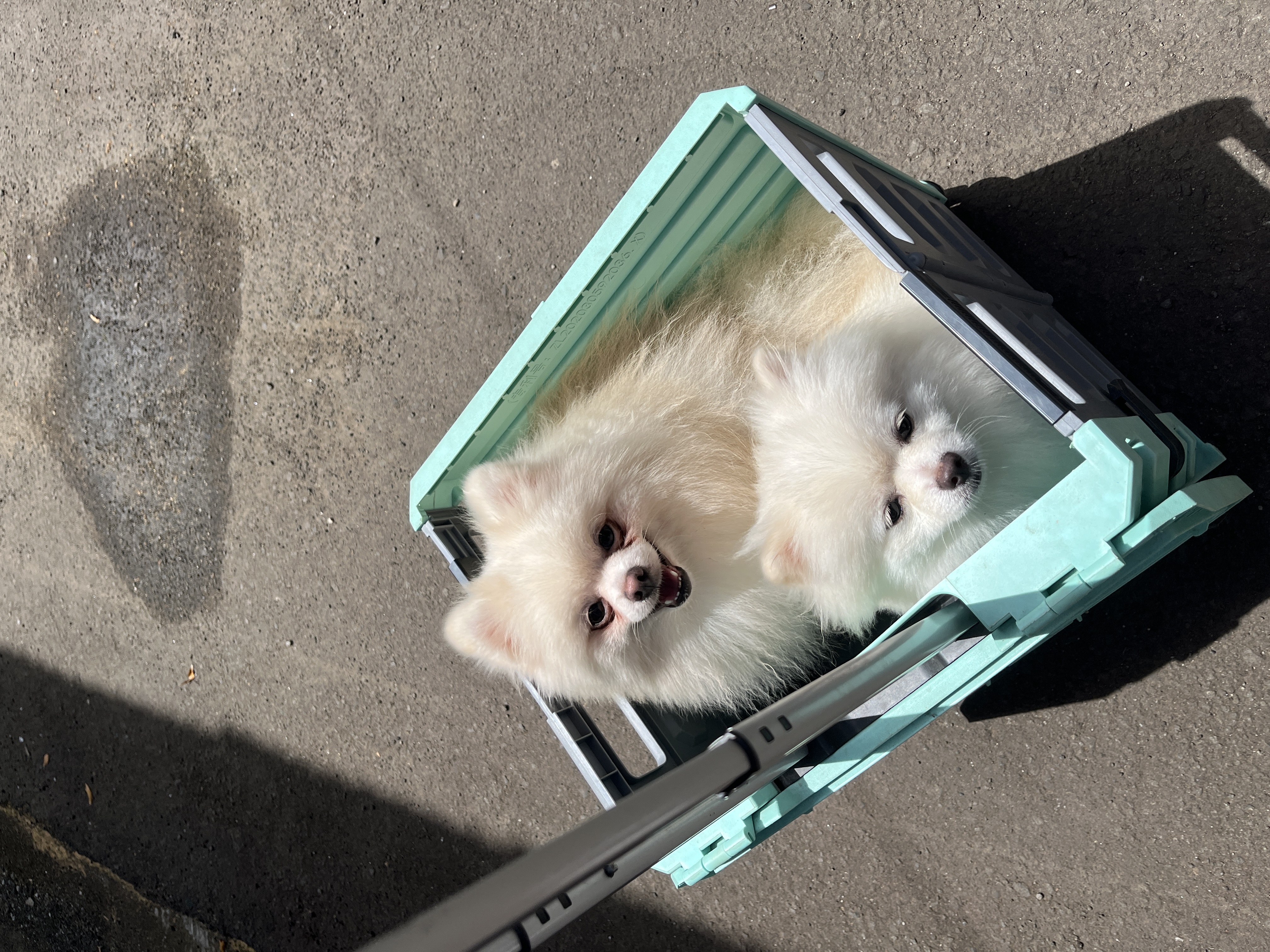 image-6