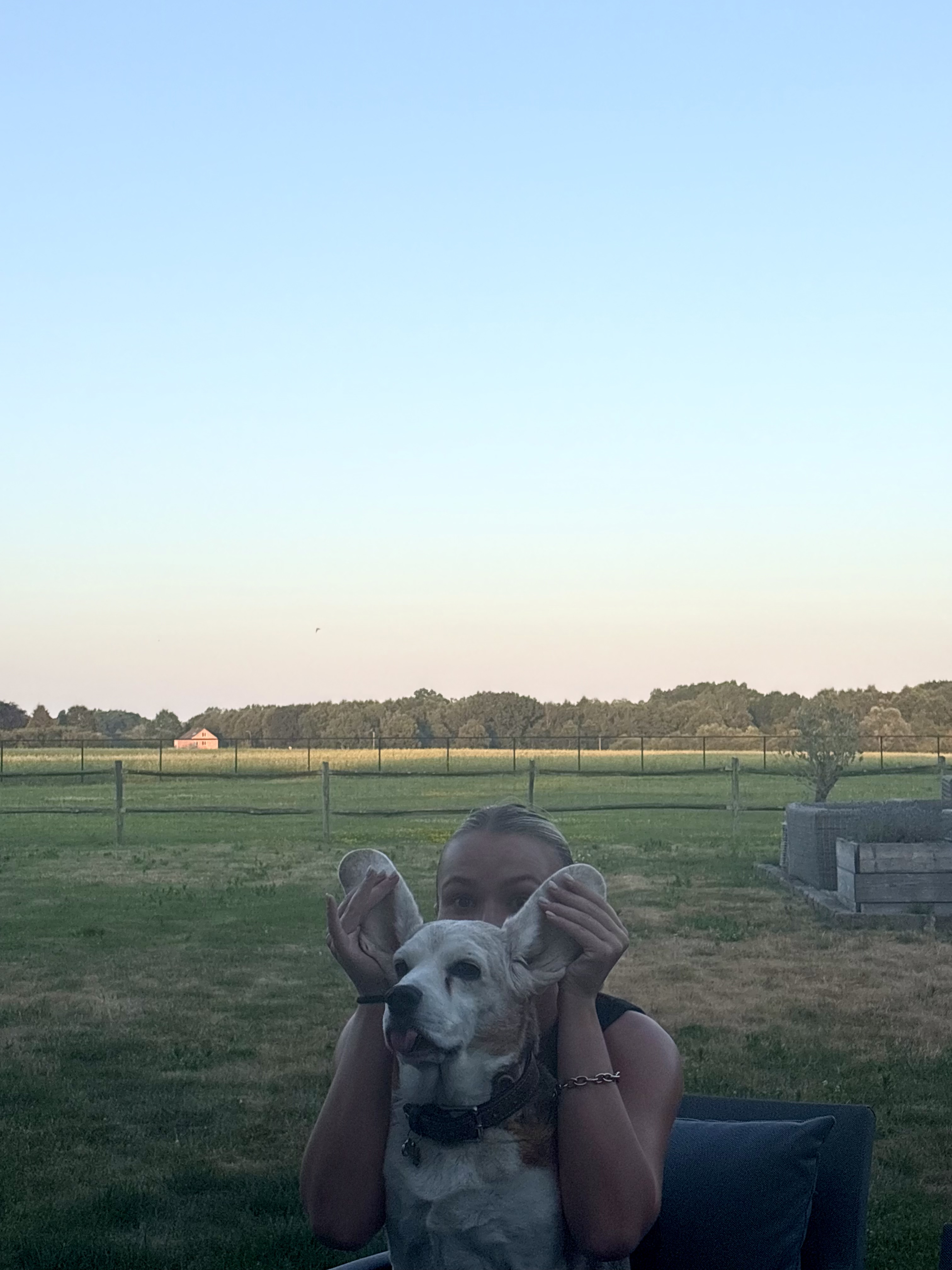 image-14
