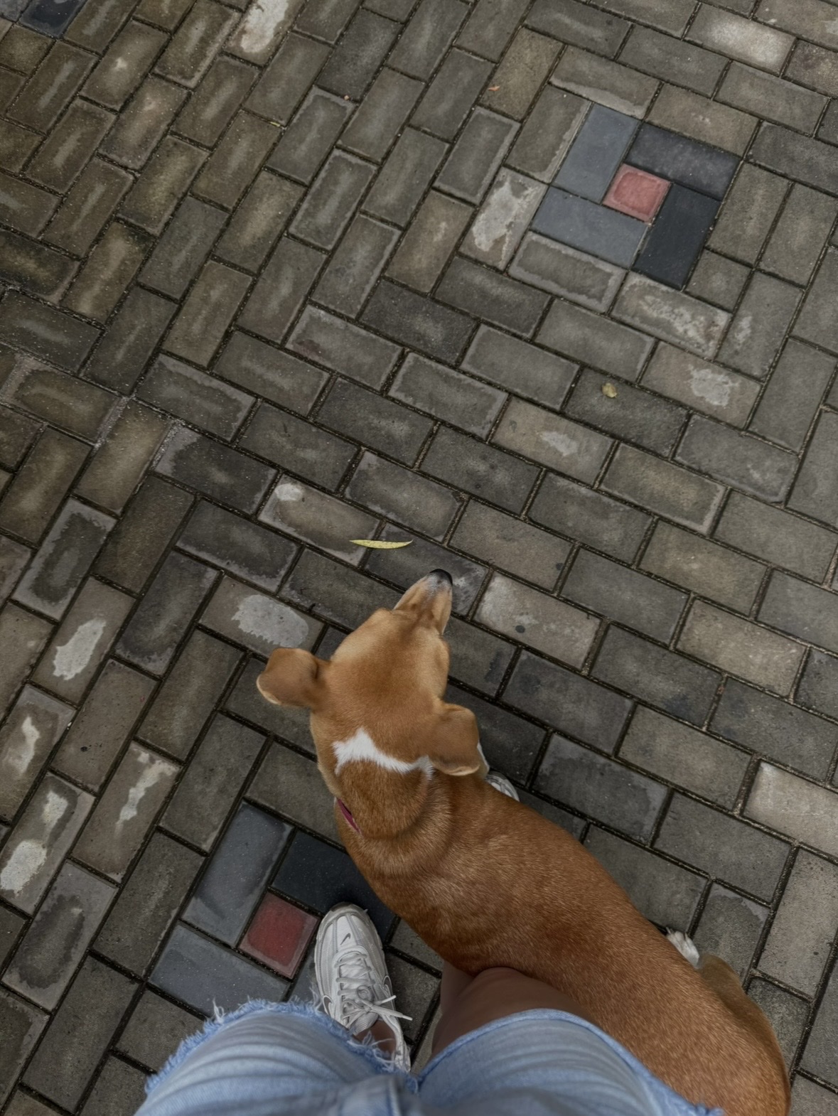 image-6