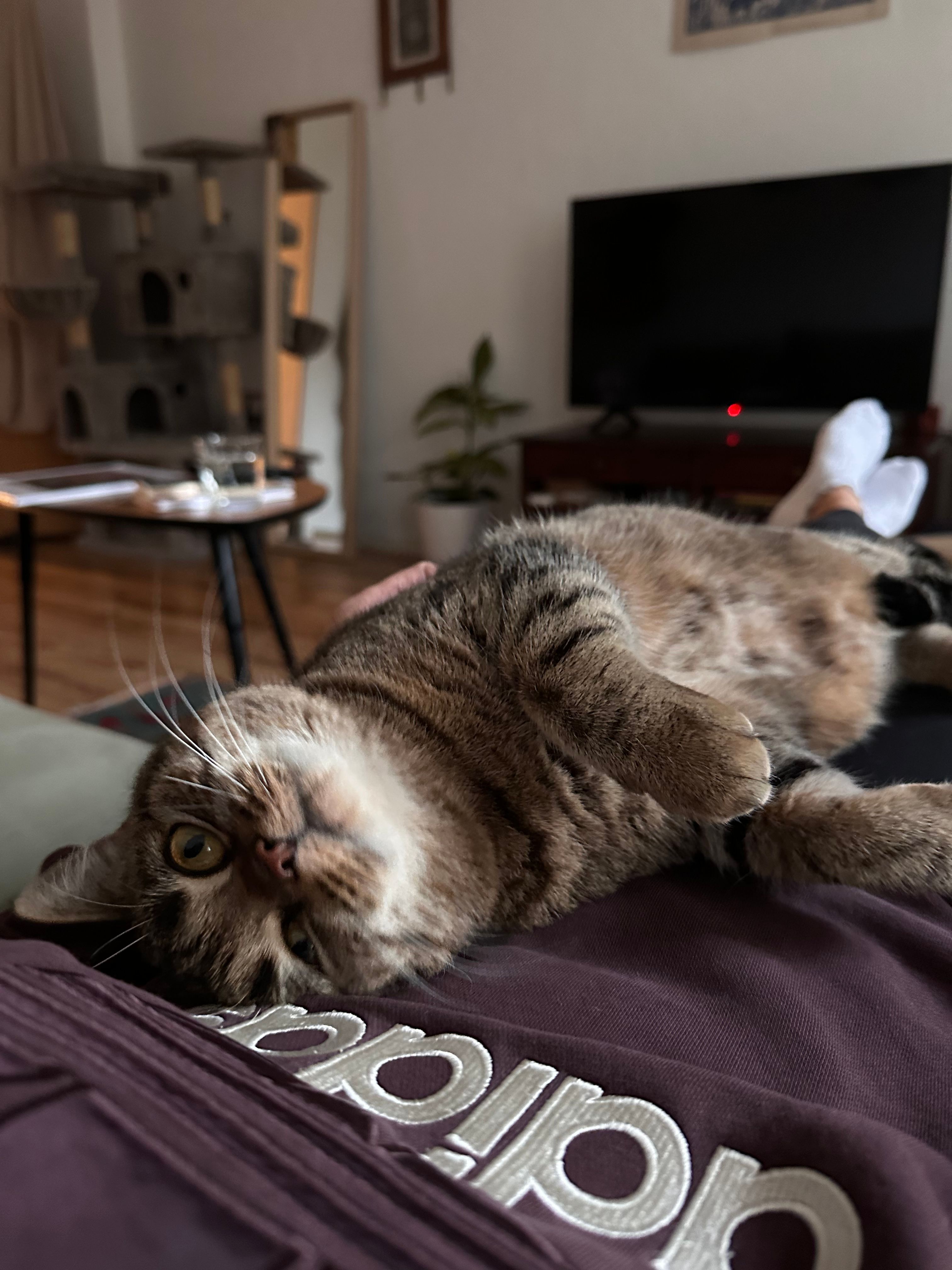 image-9