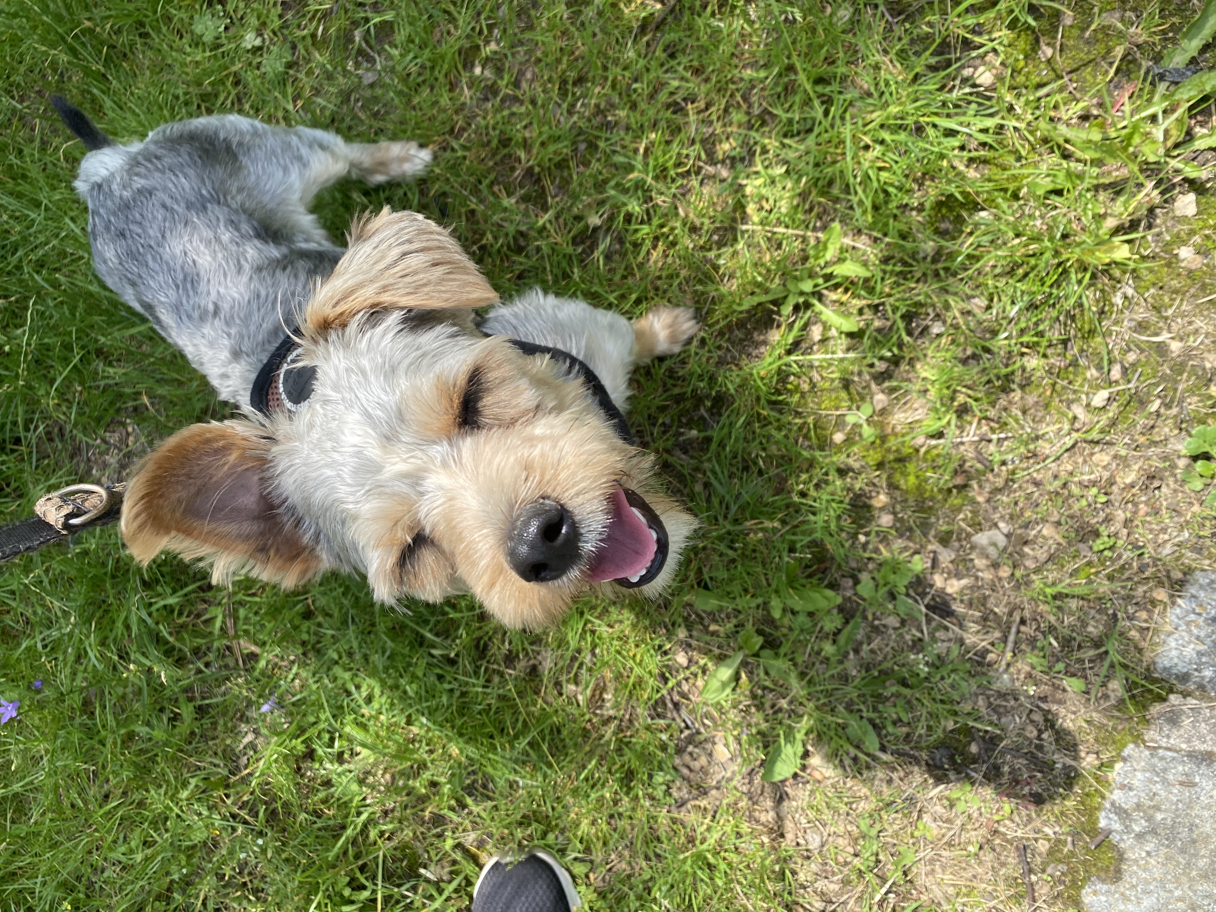image-9