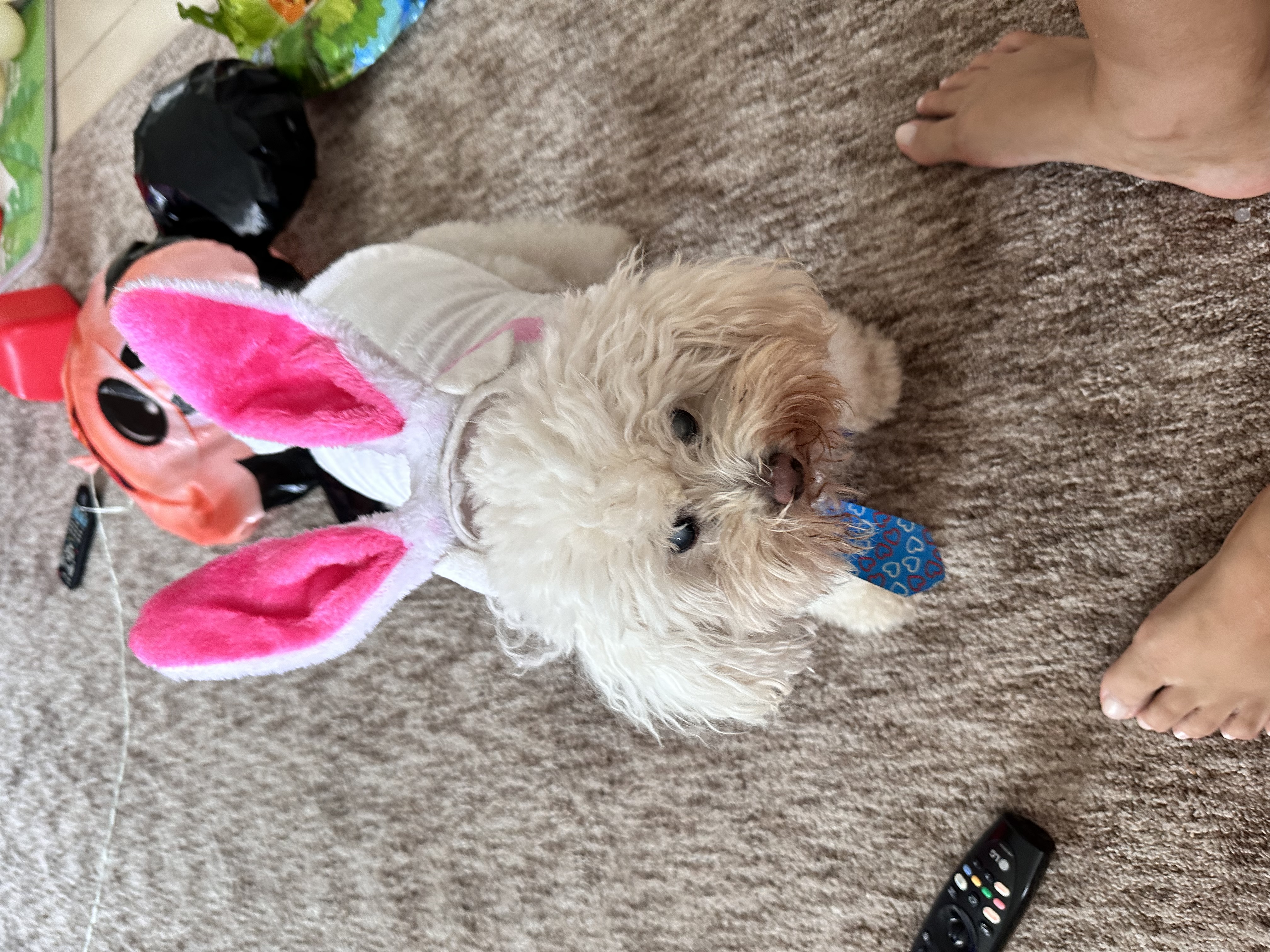 image-6