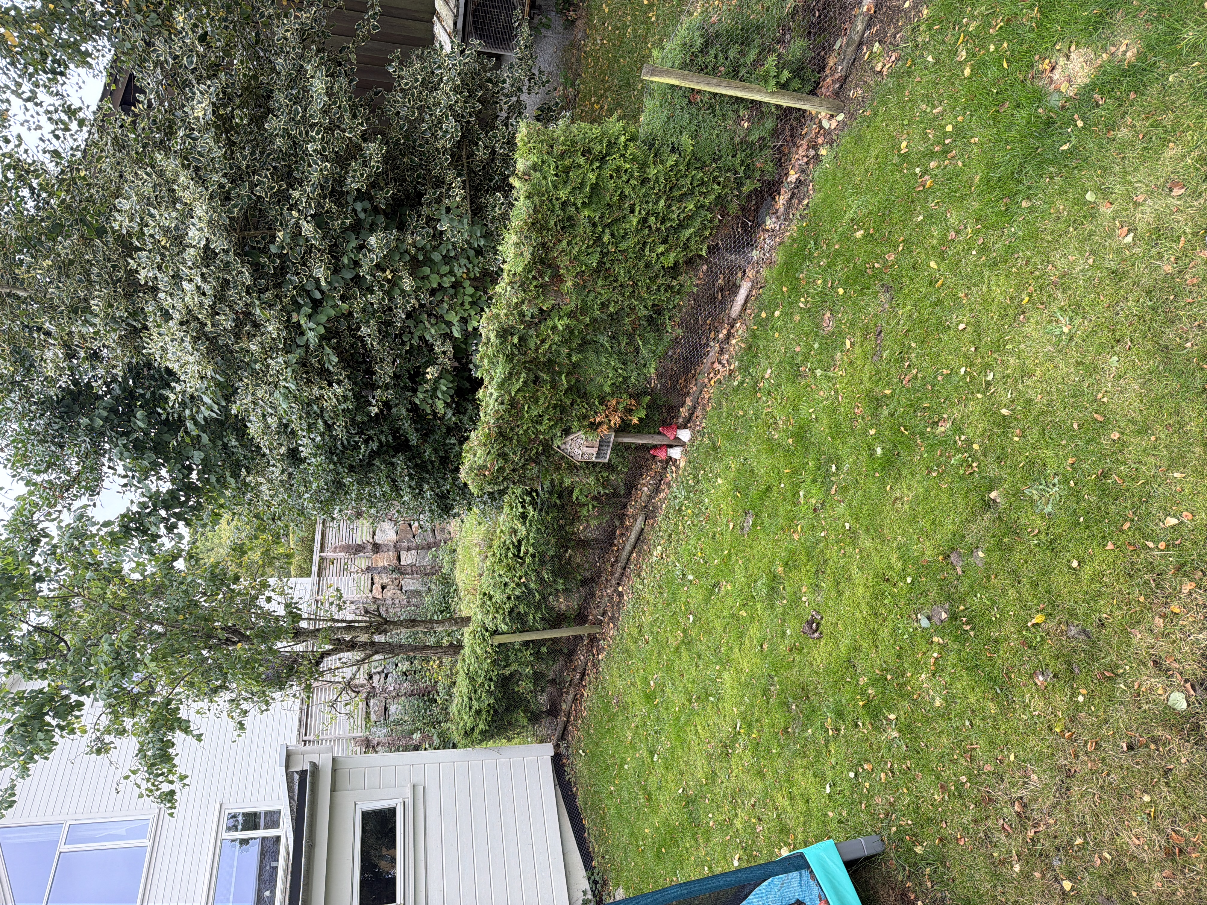 image-29