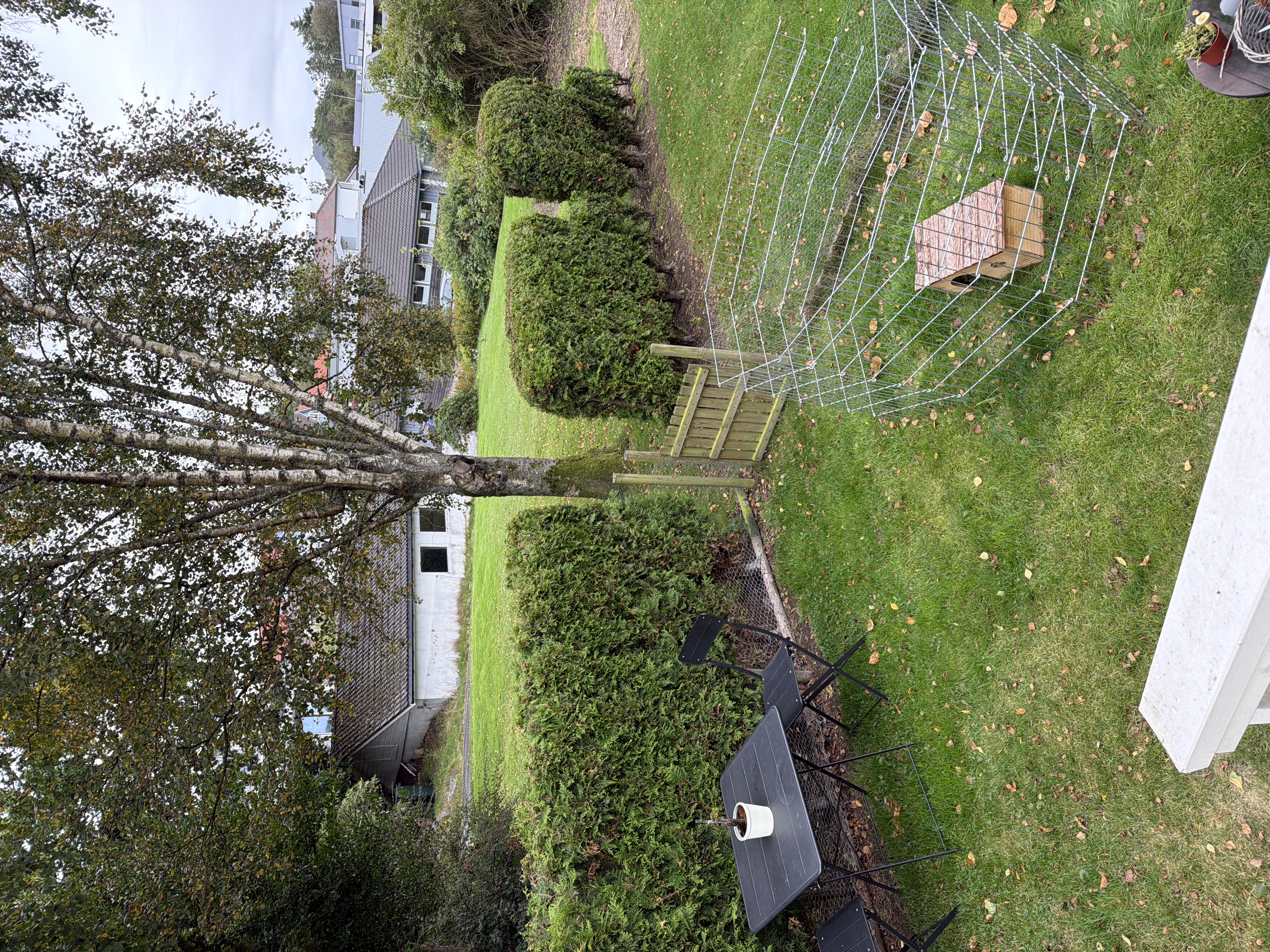 image-28