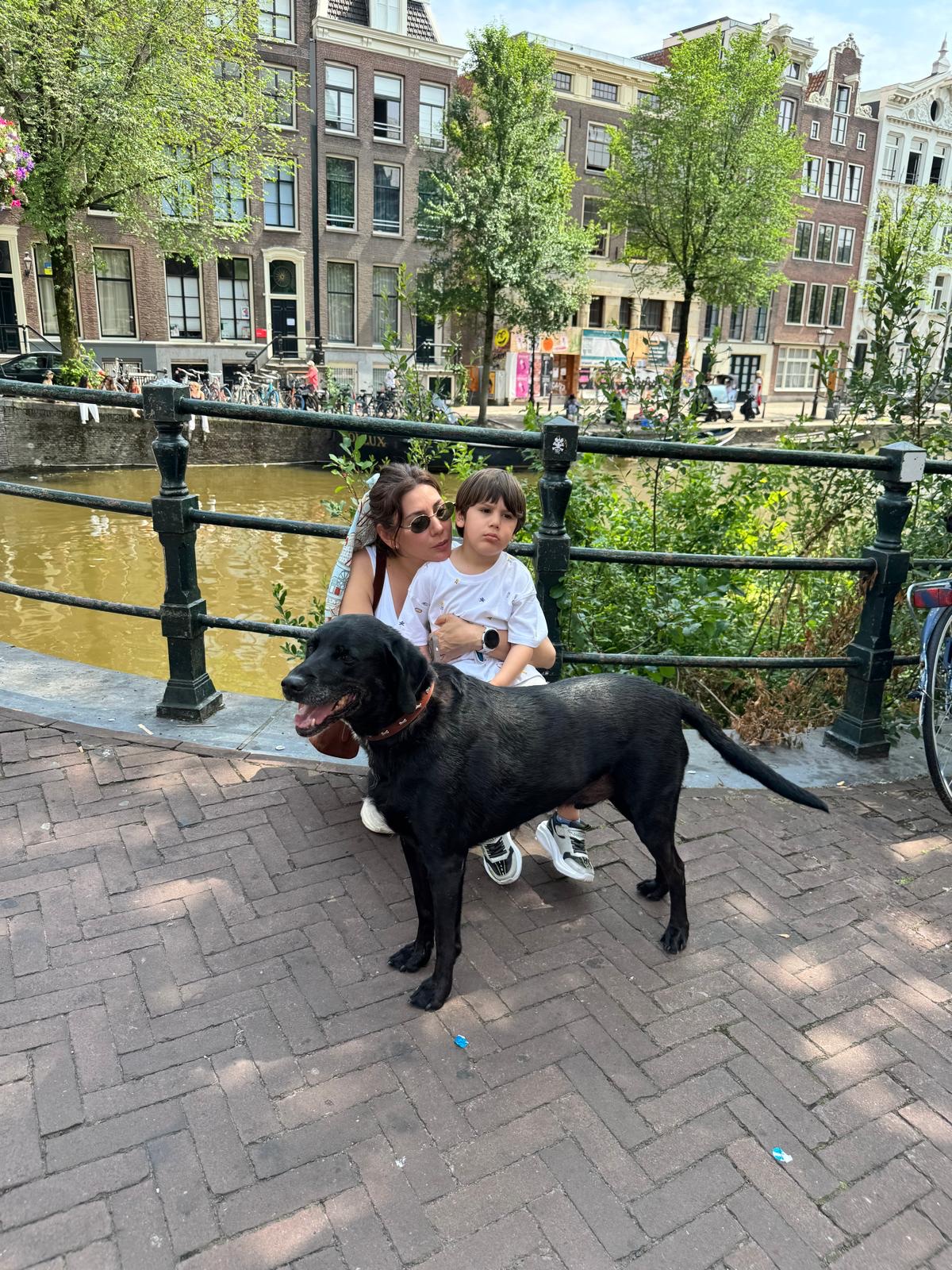 image-11