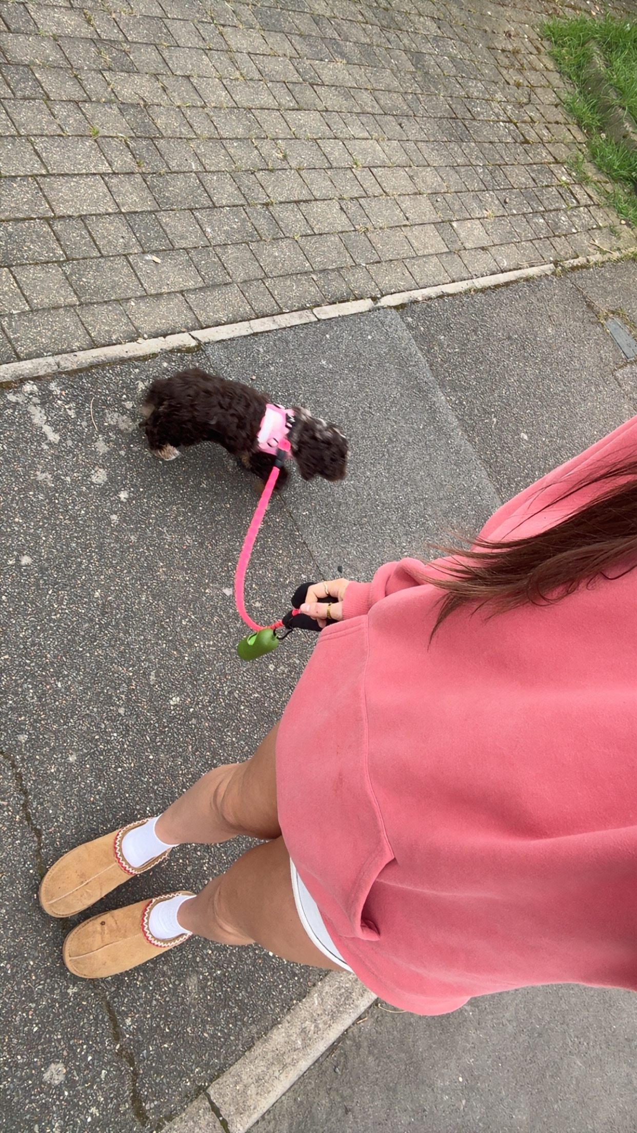 image-2