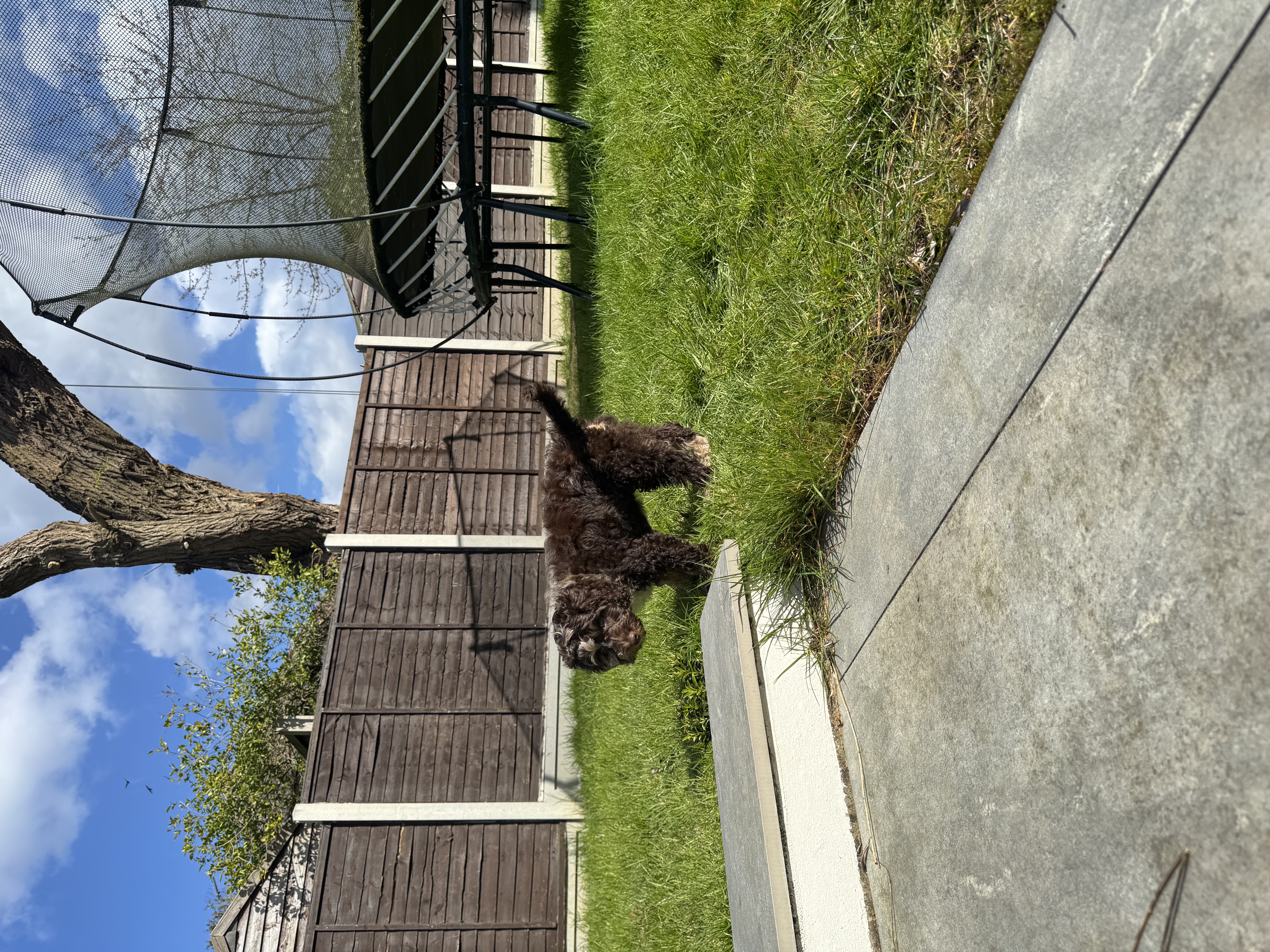 image-13