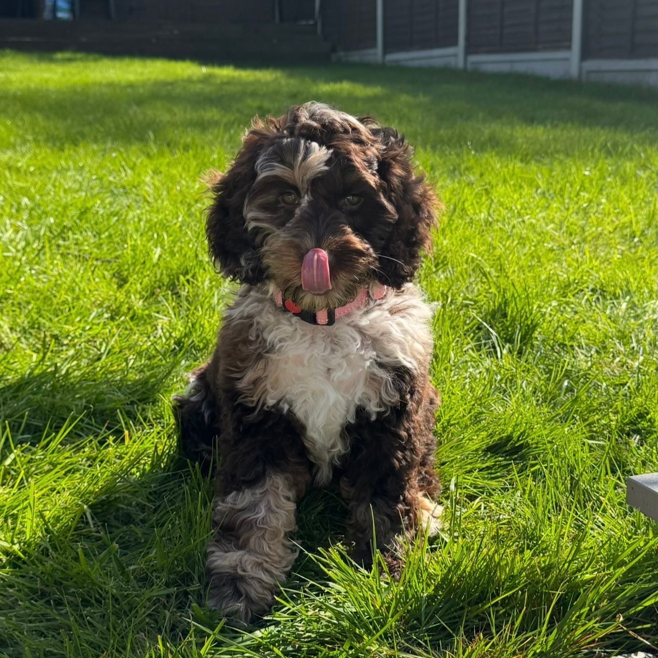 Luna