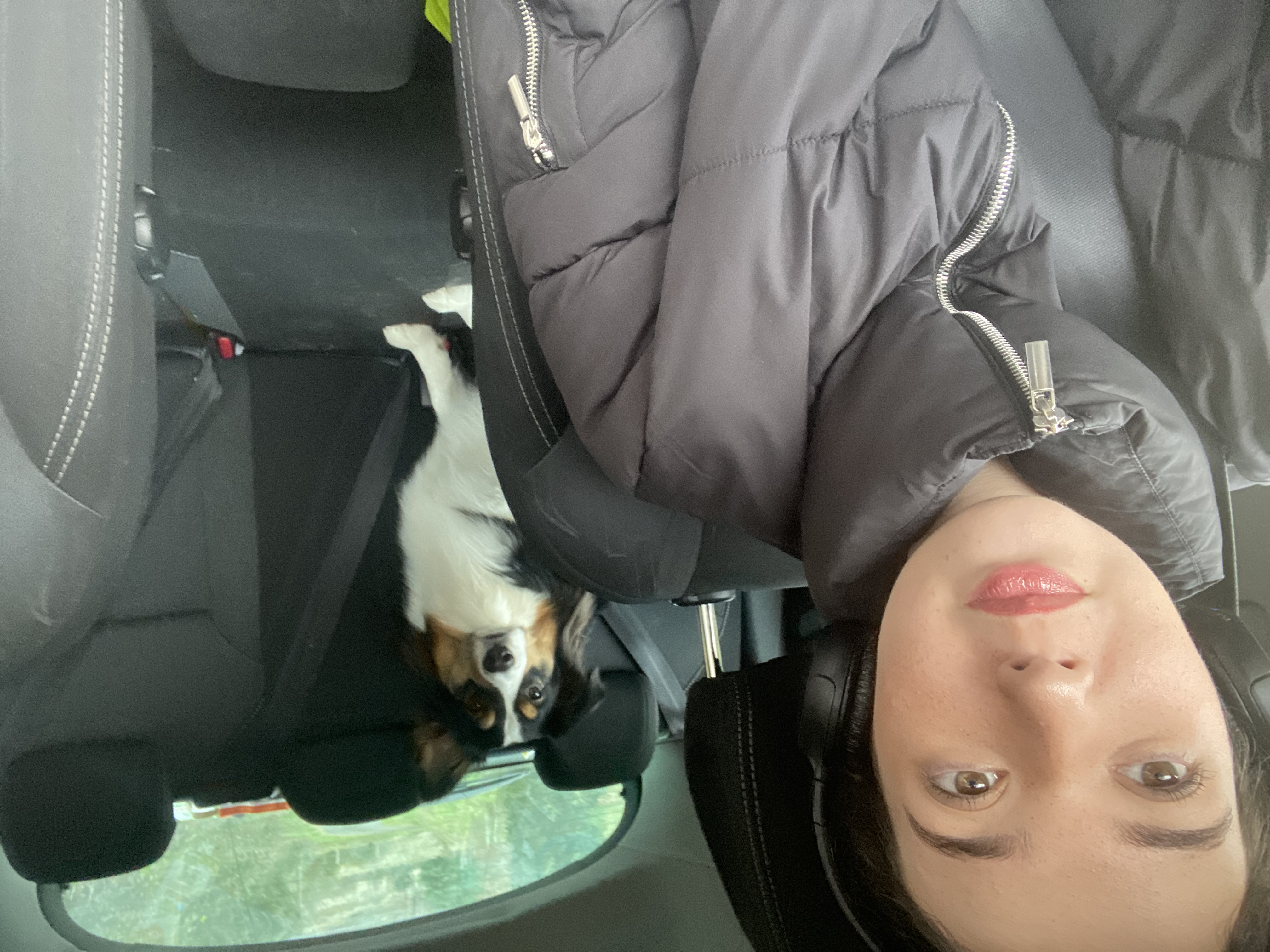 image-7