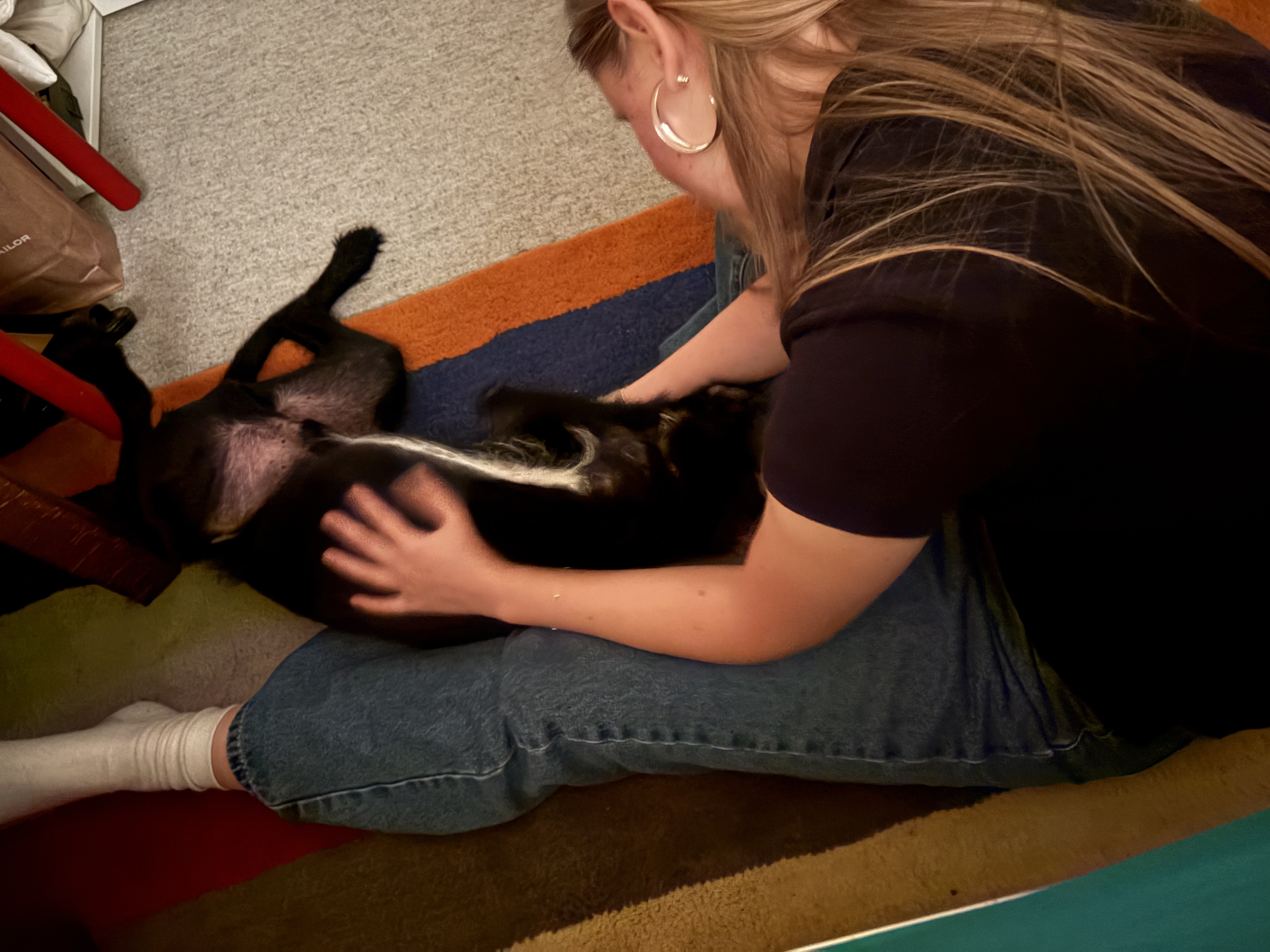 image-5
