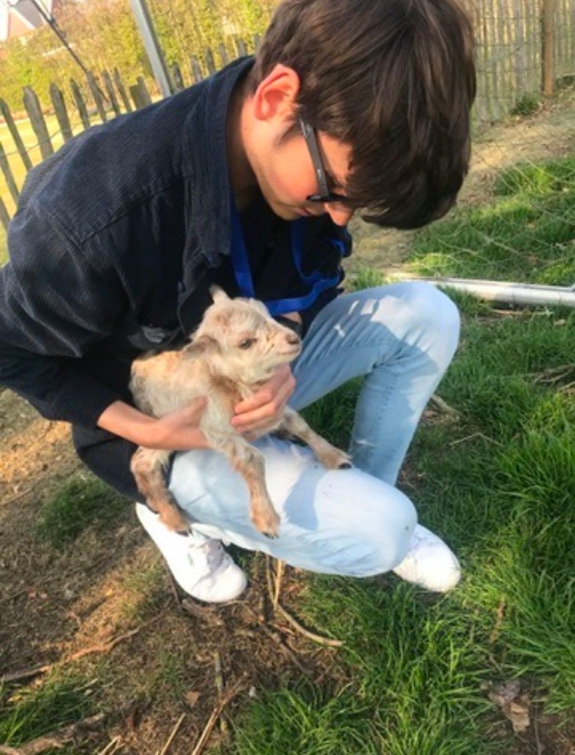 image-6