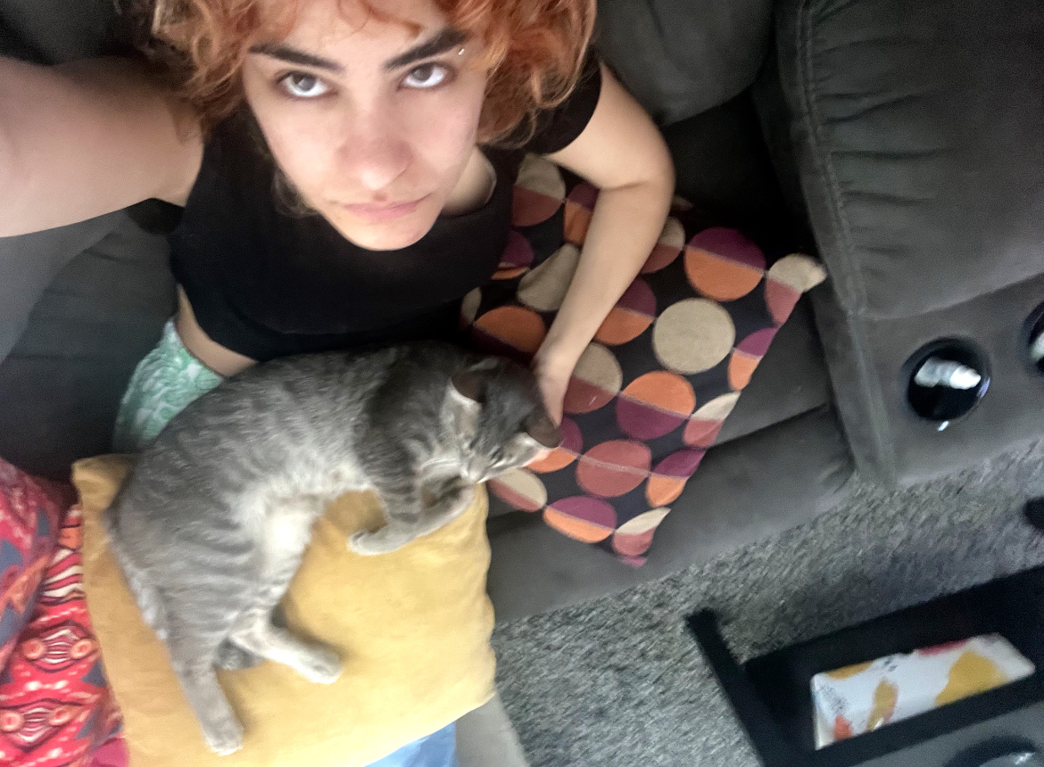 image-7