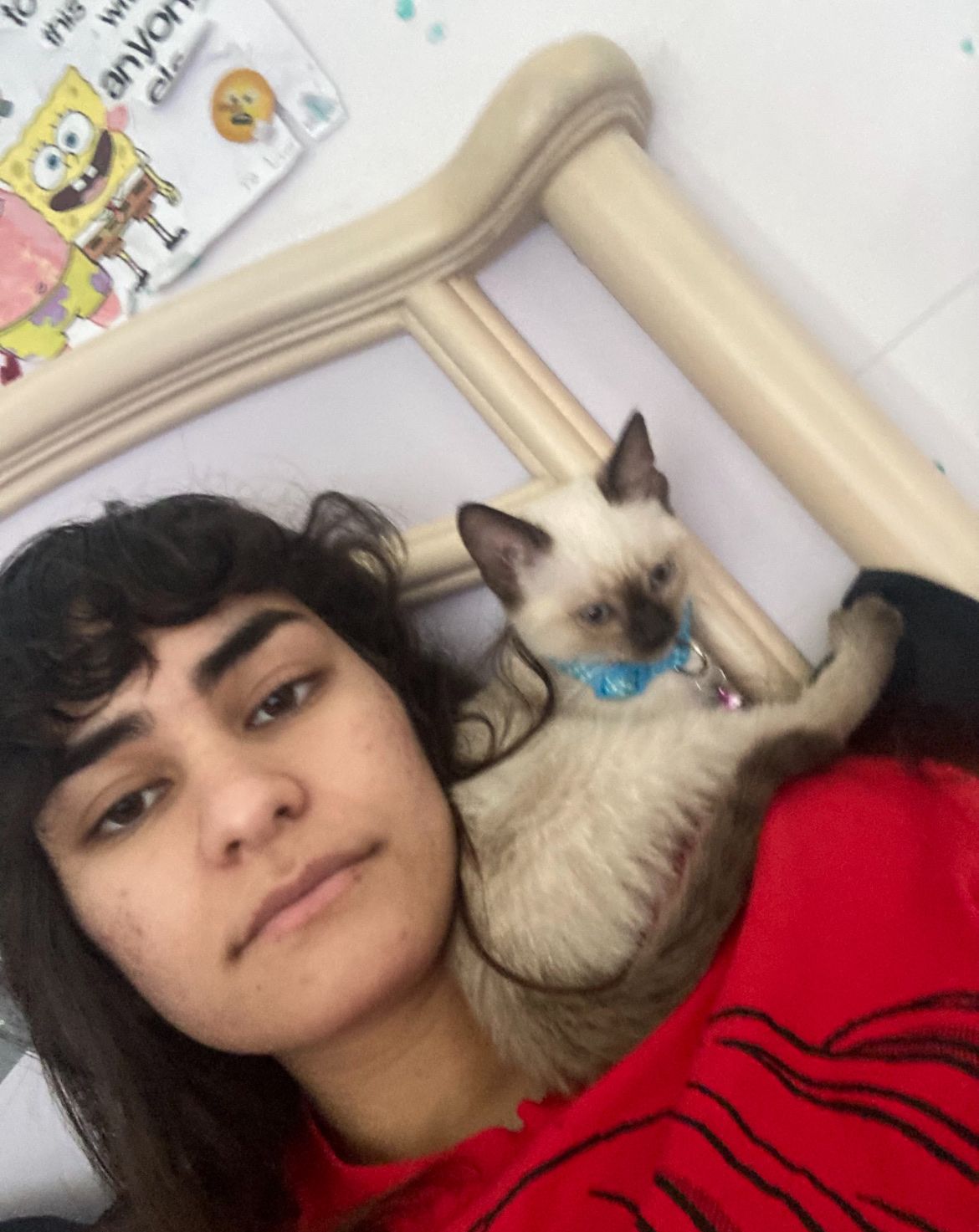 image-11