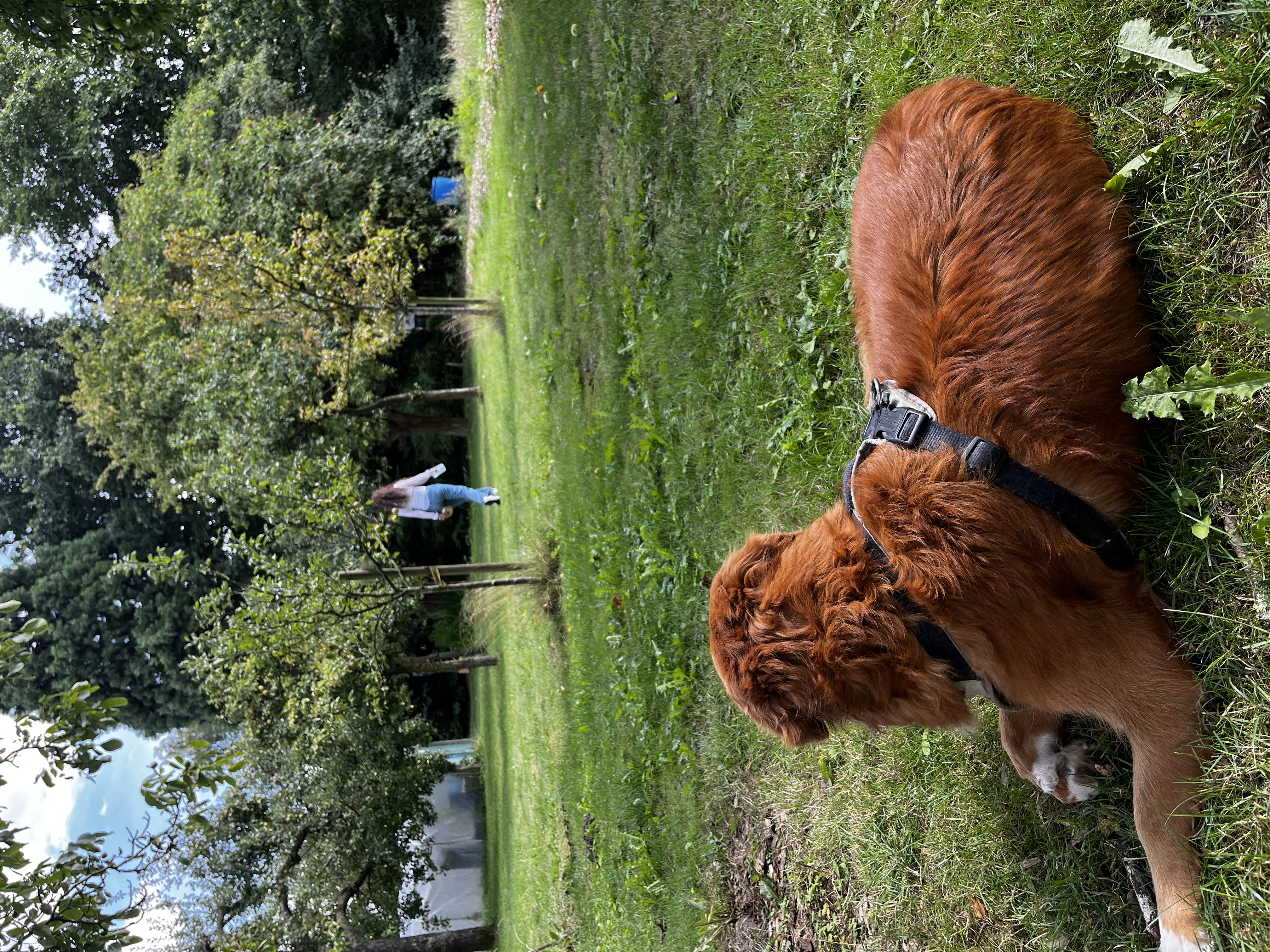 image-6