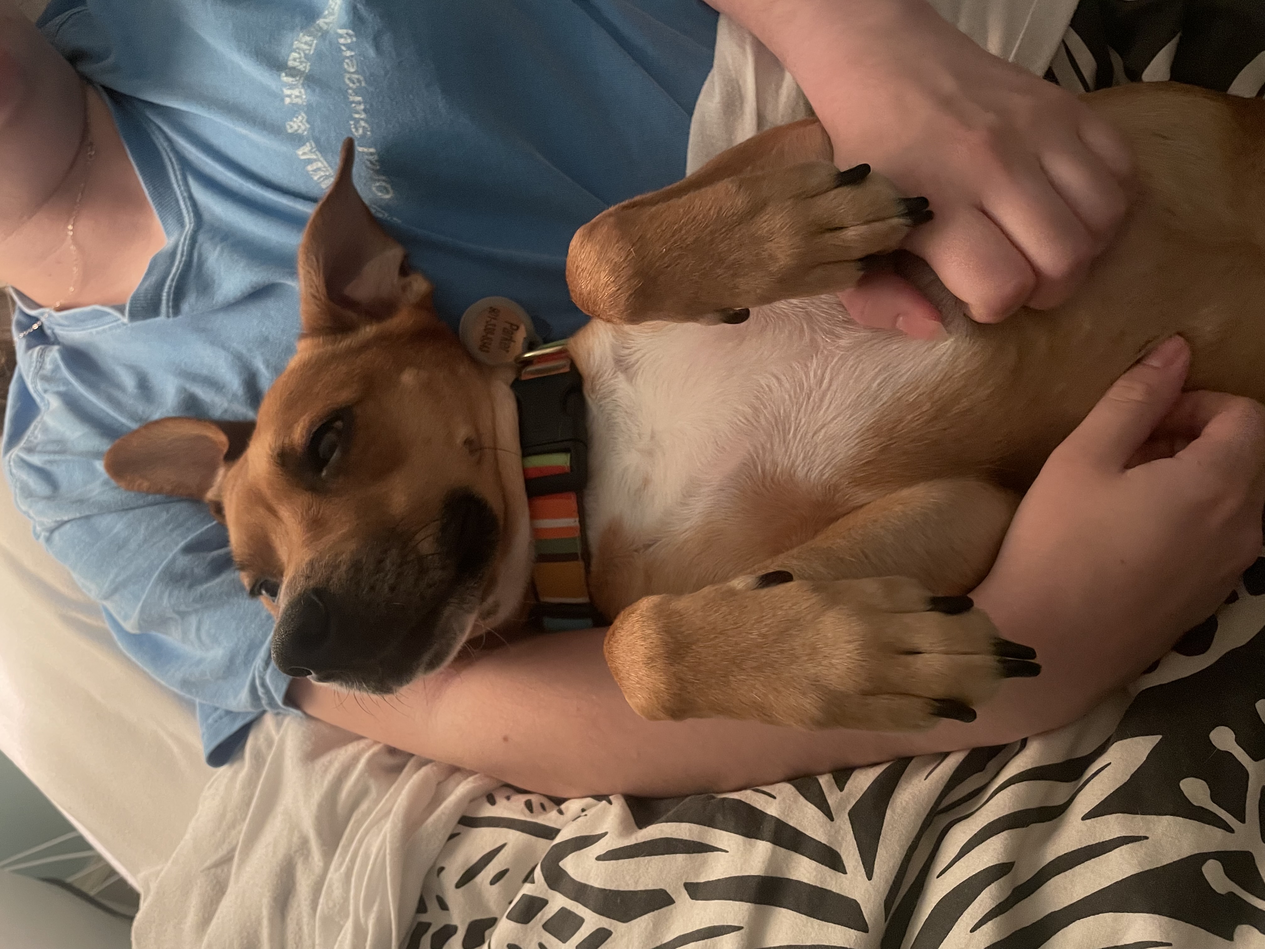 image-6