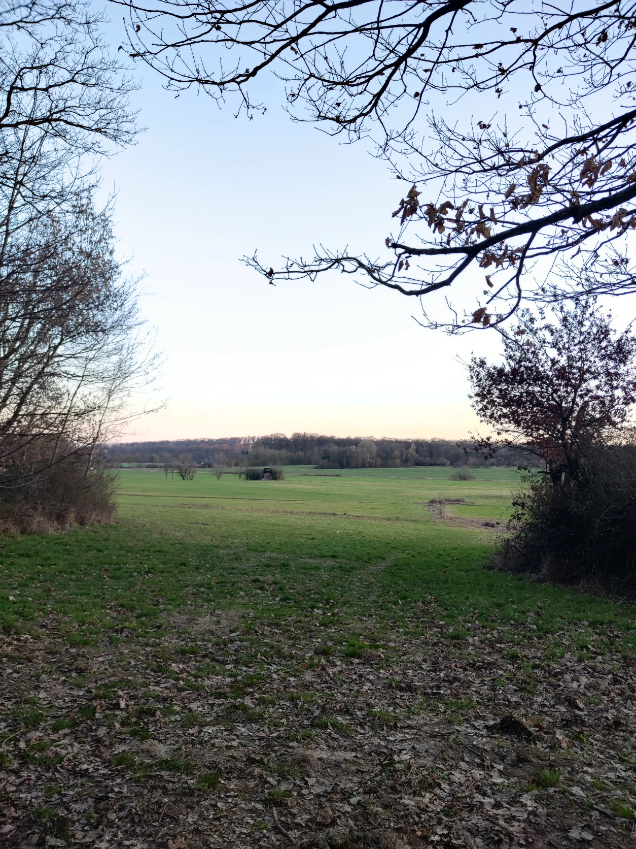 image-7
