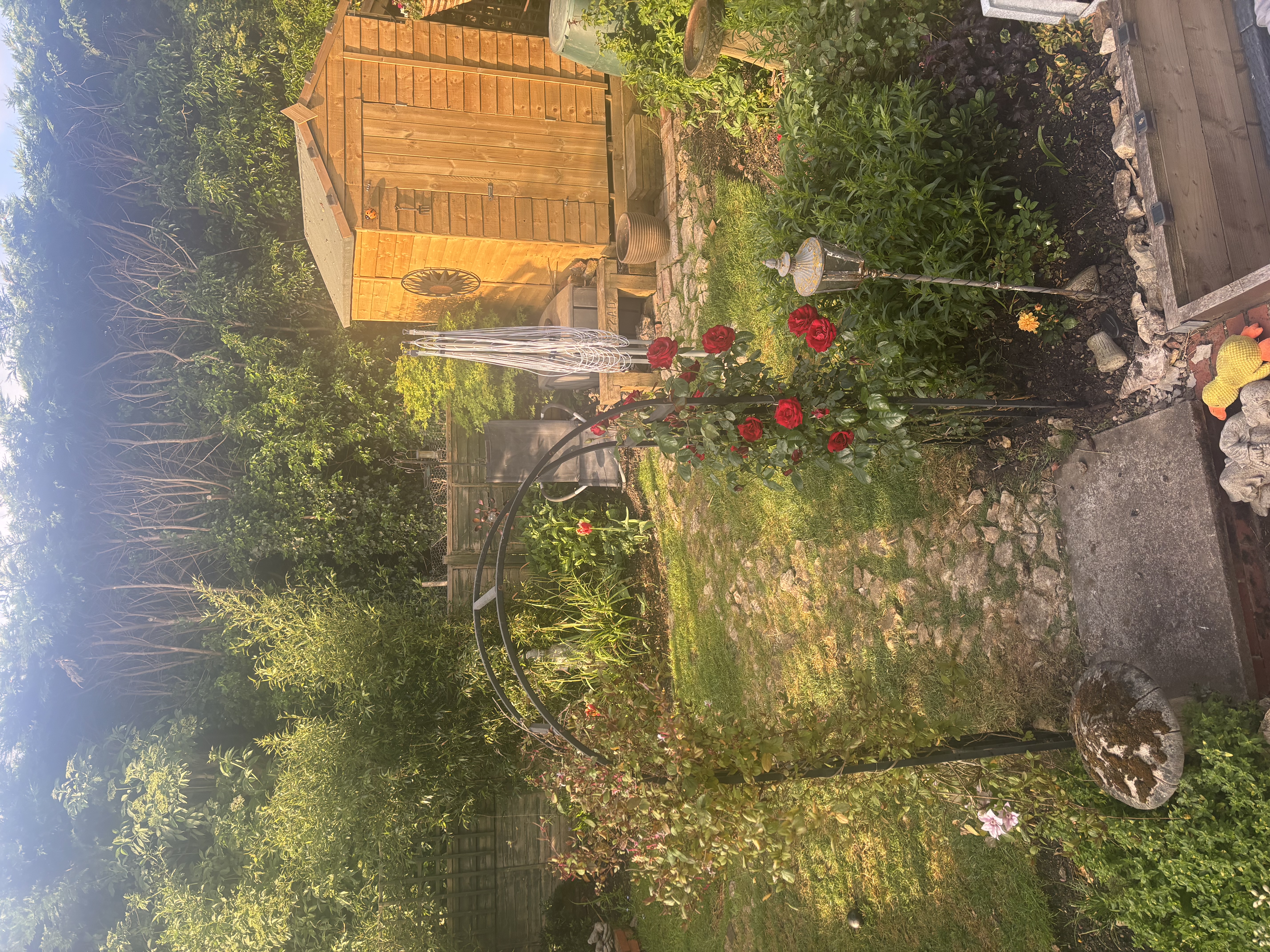 image-10
