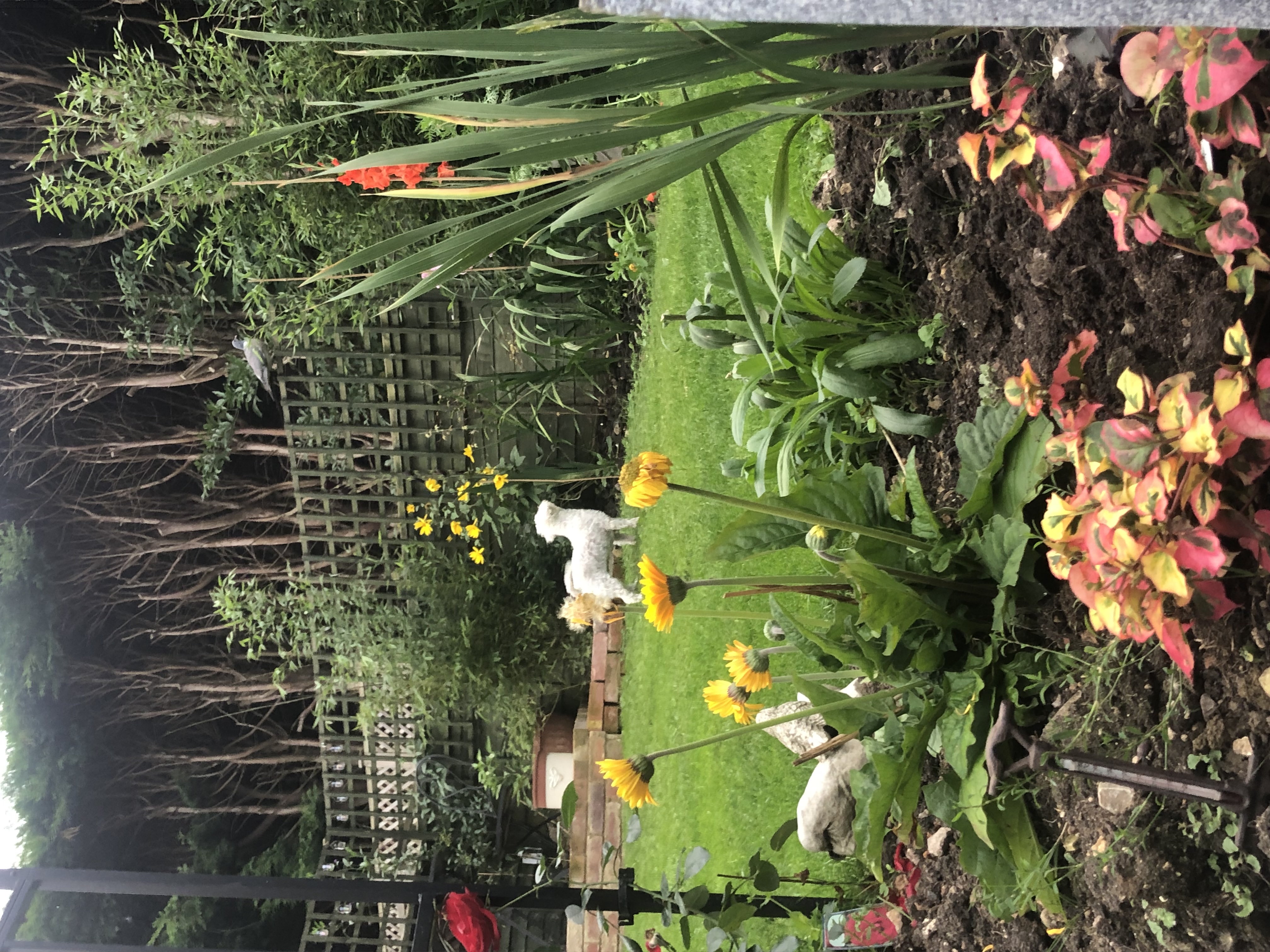 image-12
