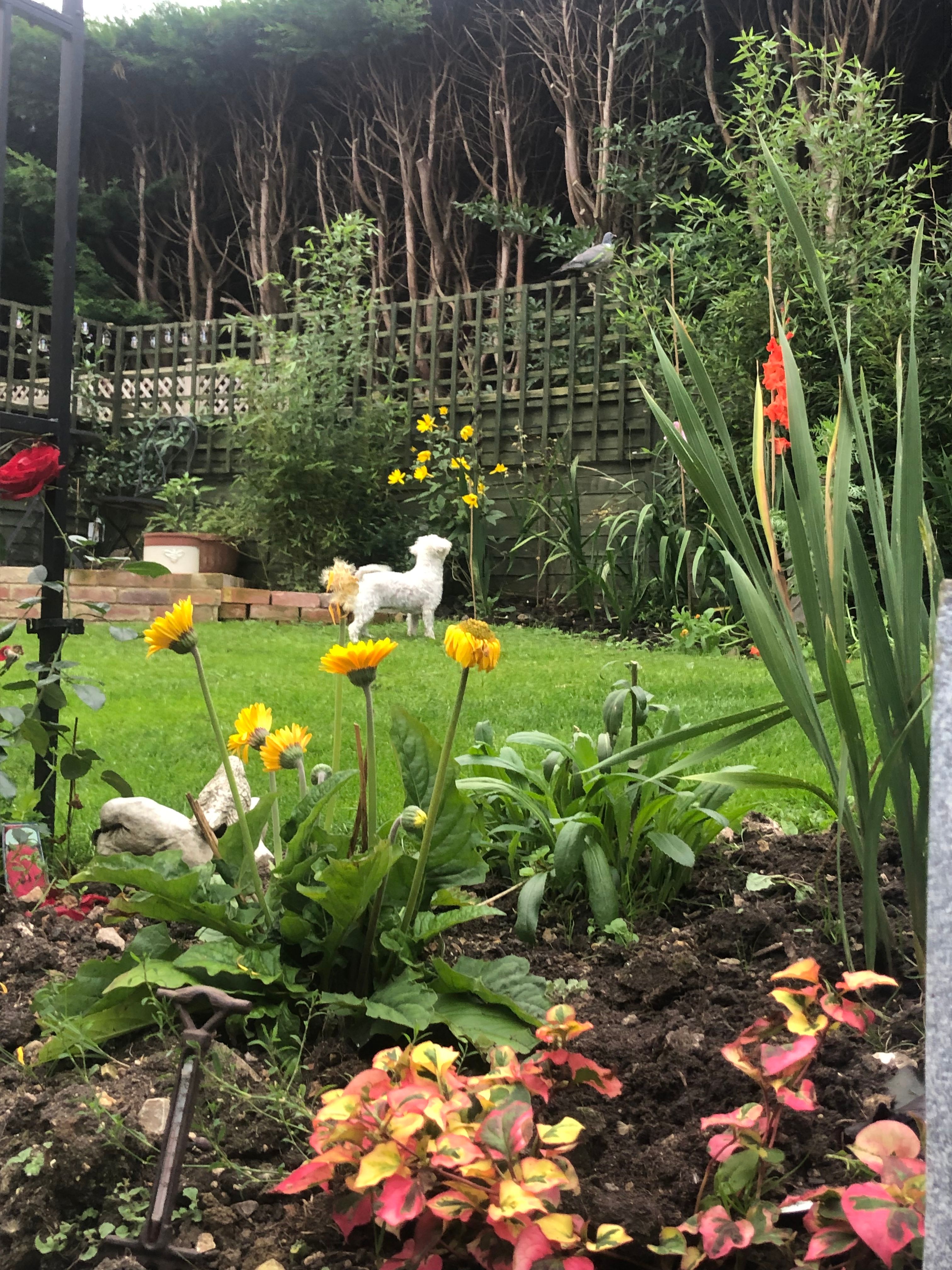 image-12