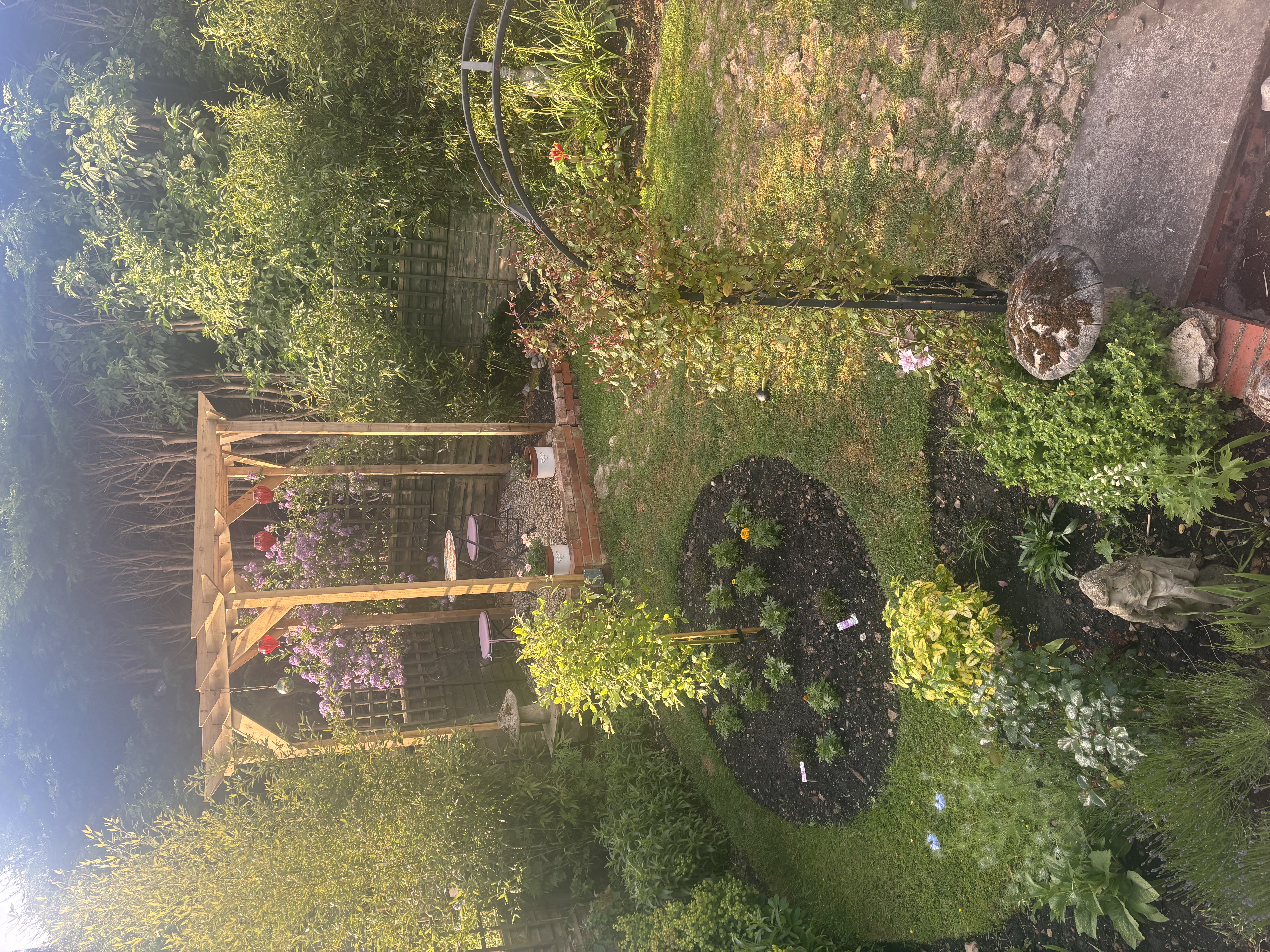 image-7